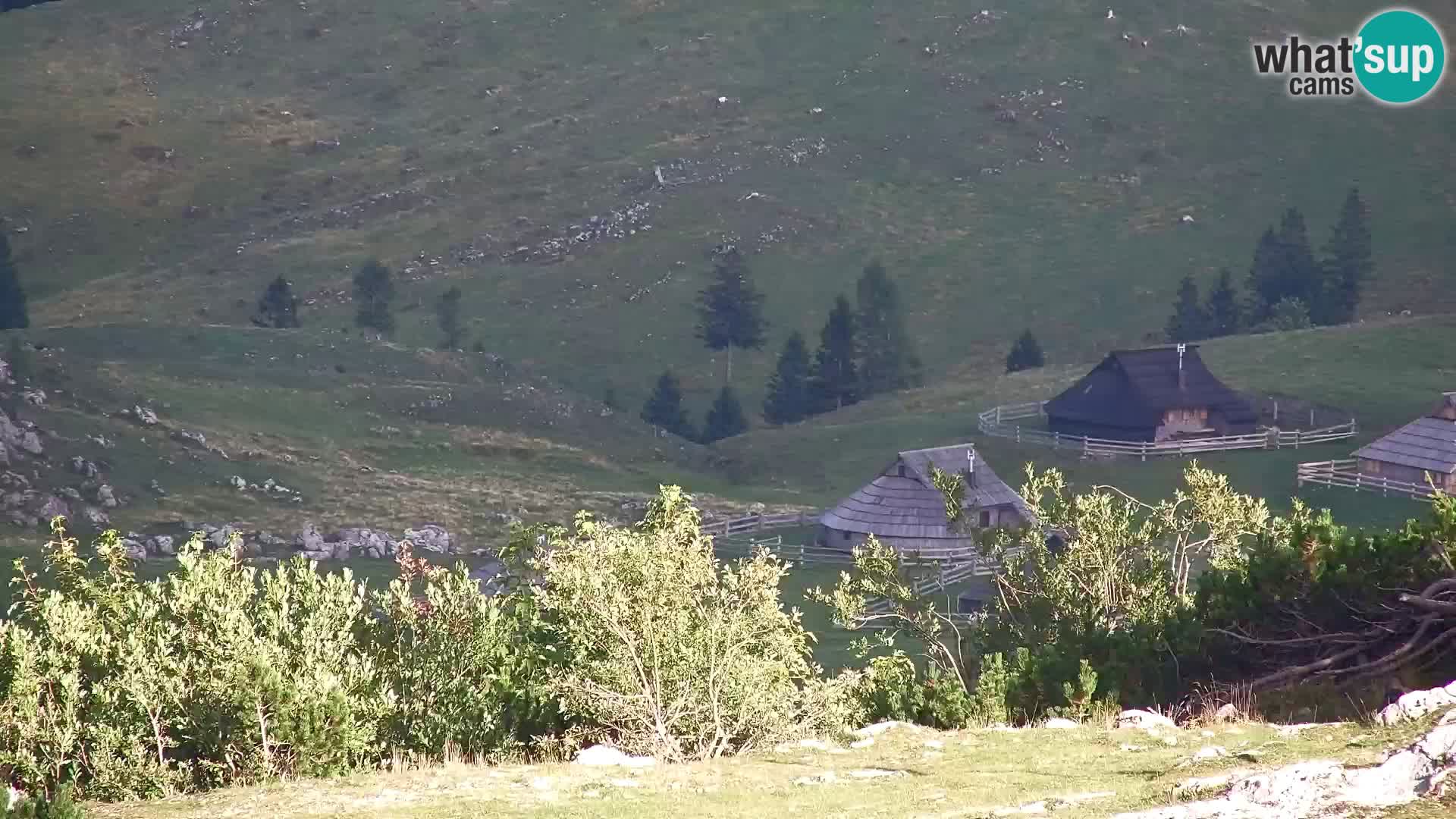 Velika Planina | Gradišče
