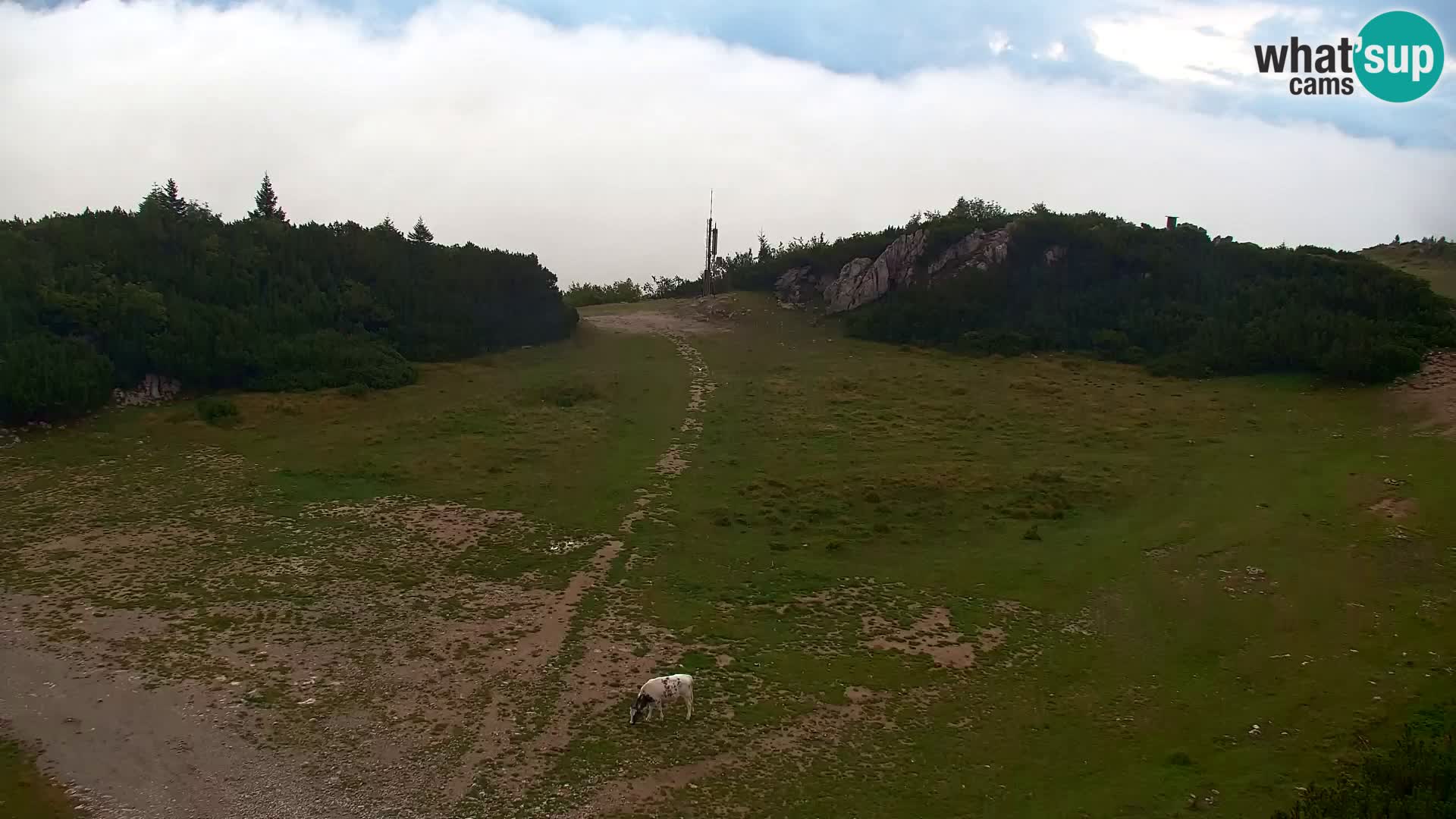 Velika Planina | Gradišče