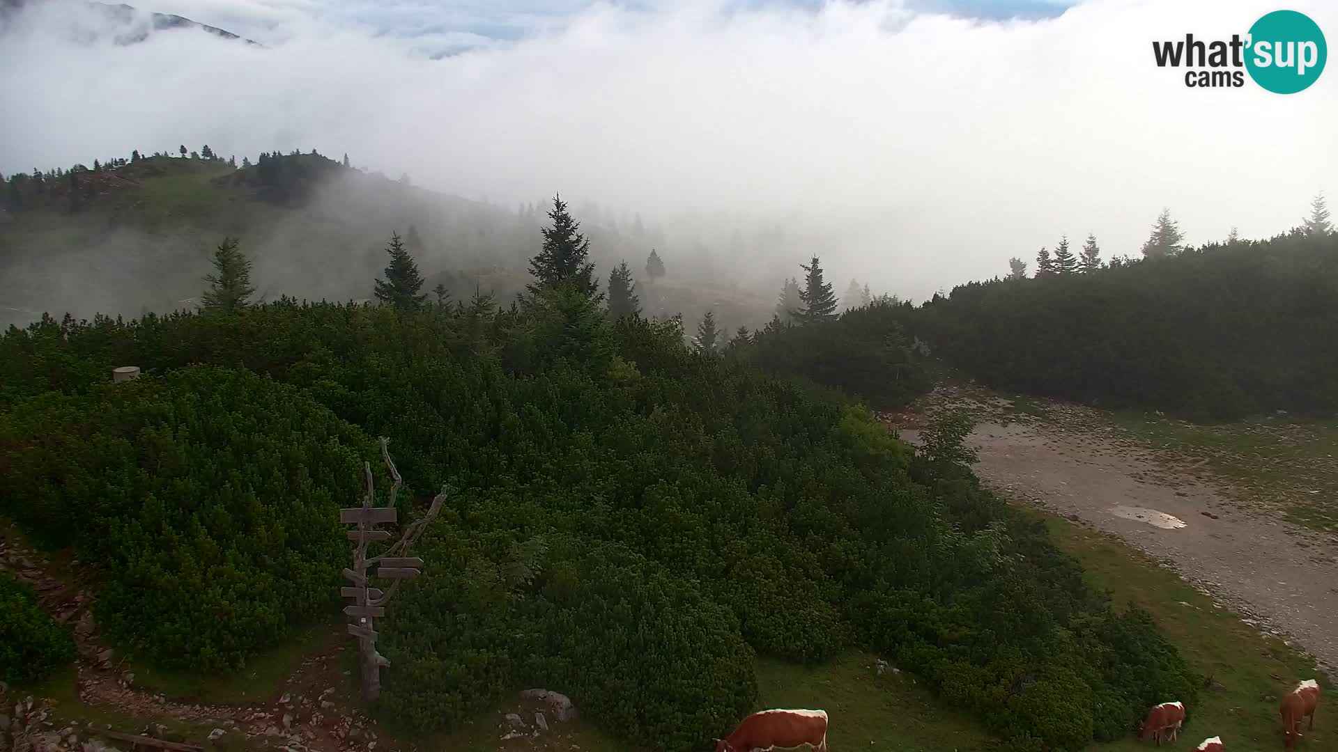 Velika Planina | Gradišče