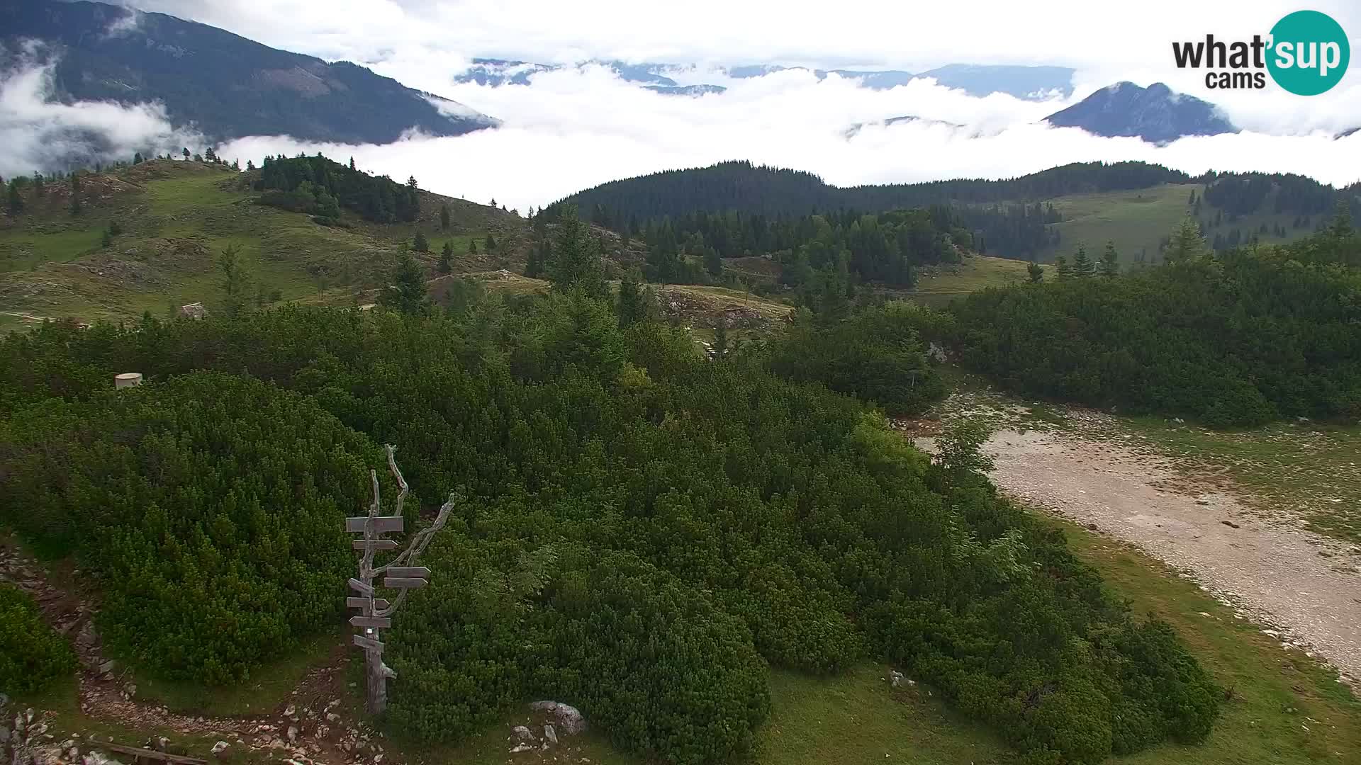 Velika Planina | Gradišče