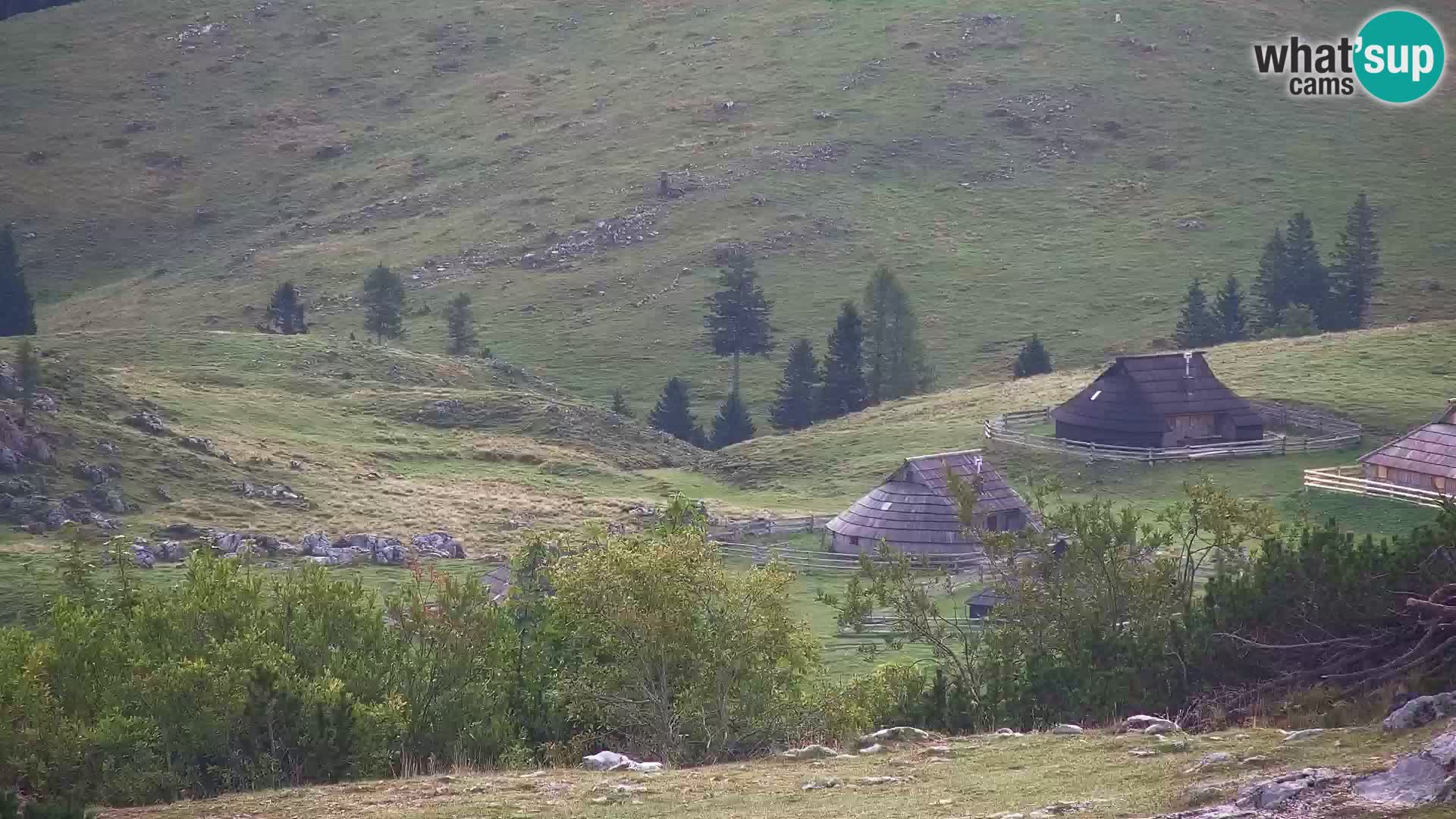 Velika Planina | Gradišče