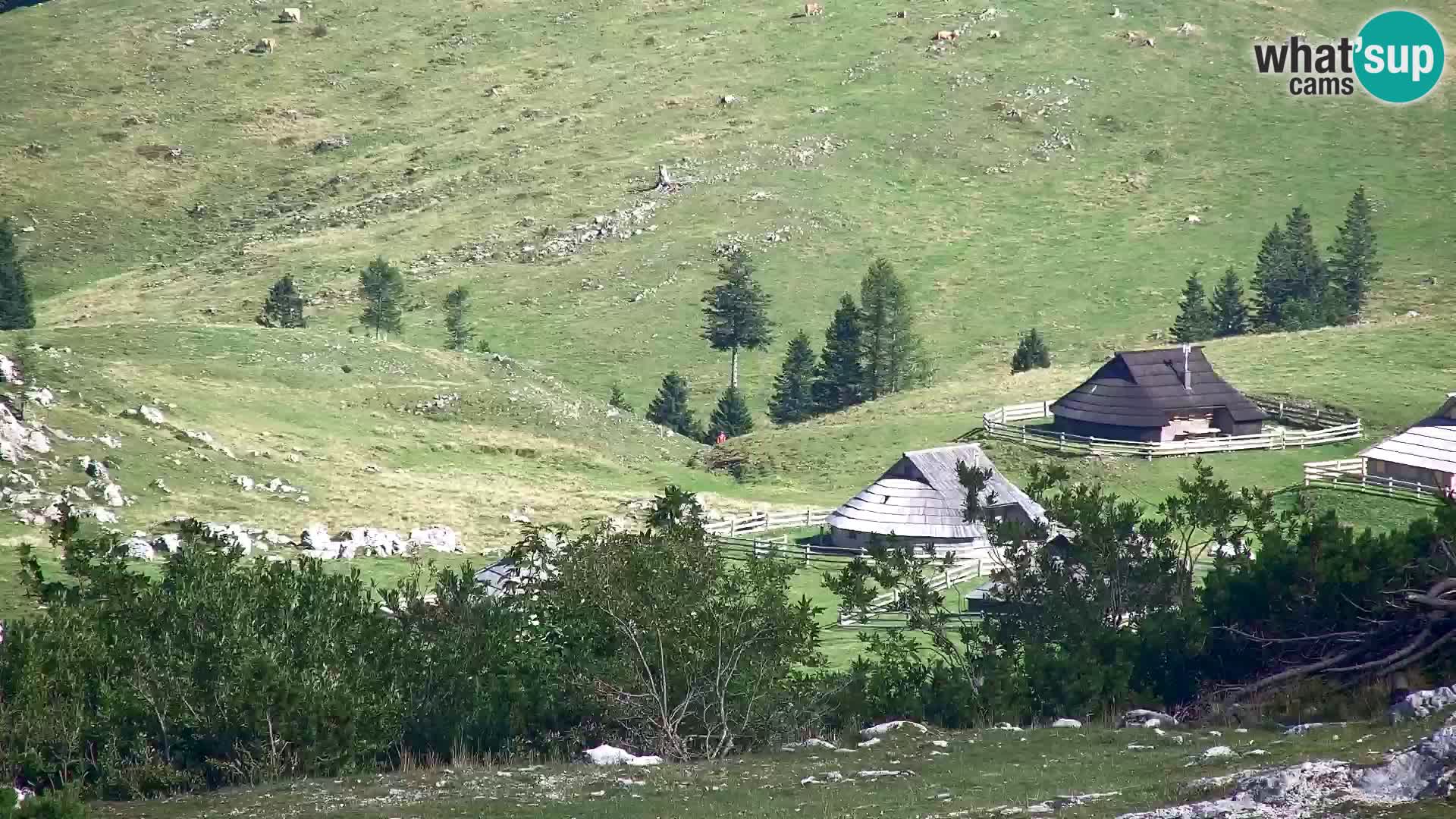 Velika Planina | Gradišče