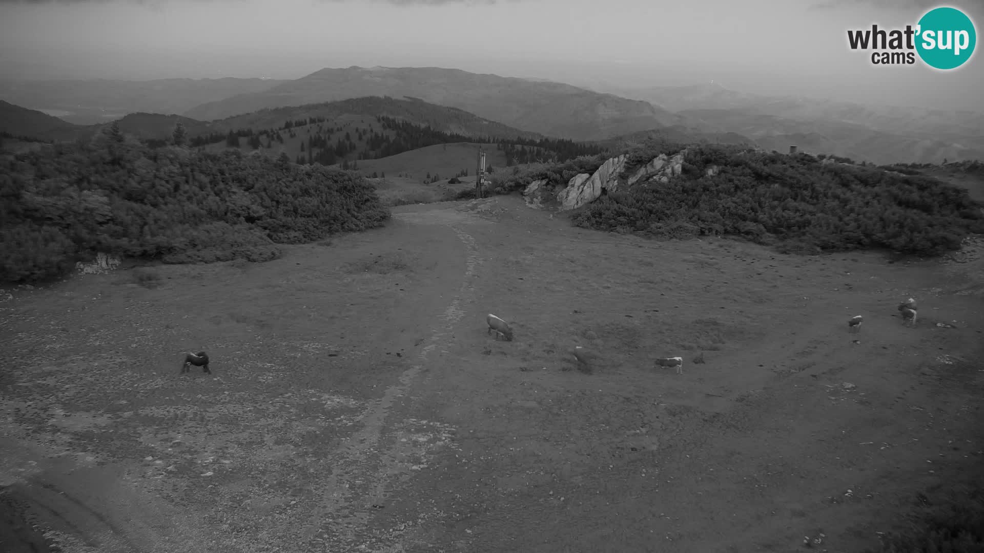 Velika Planina | Gradišče