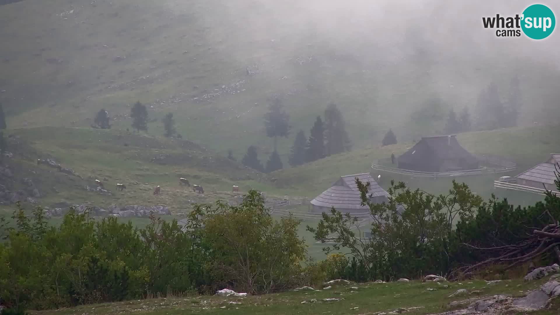 Velika Planina | Gradišče