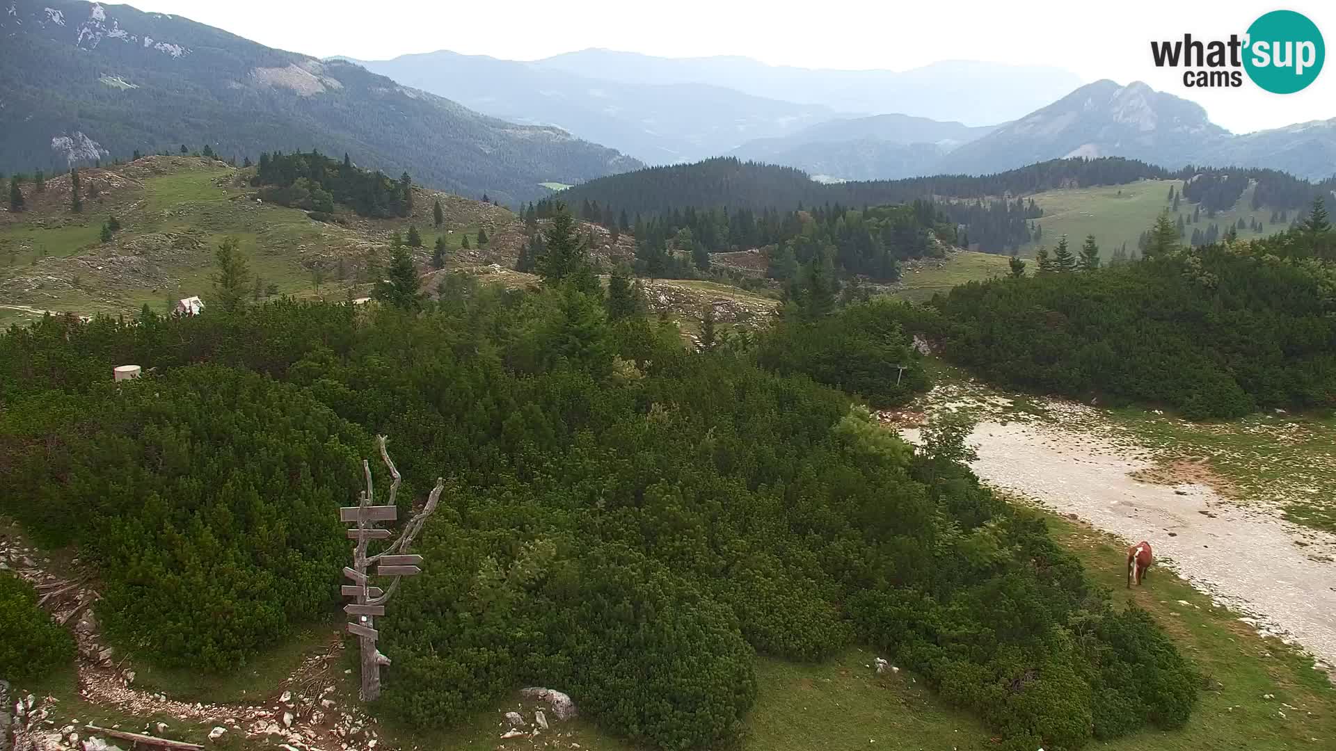 Velika Planina | Gradišče