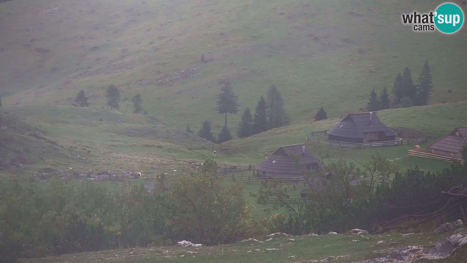 Velika Planina | Gradišče