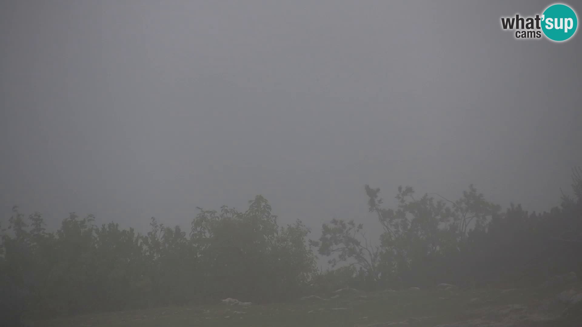 Velika Planina | Gradišče
