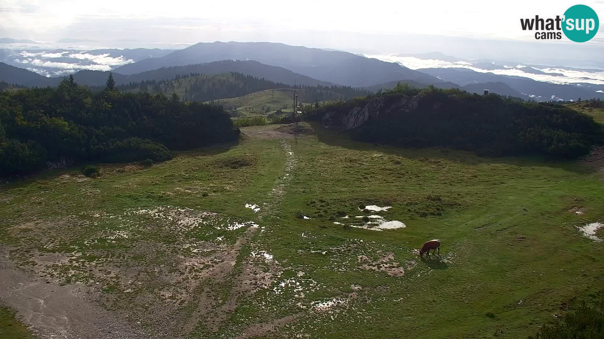 Velika Planina | Gradišče