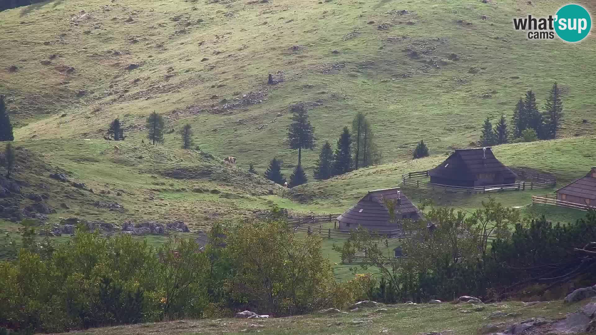 Velika Planina | Gradišče