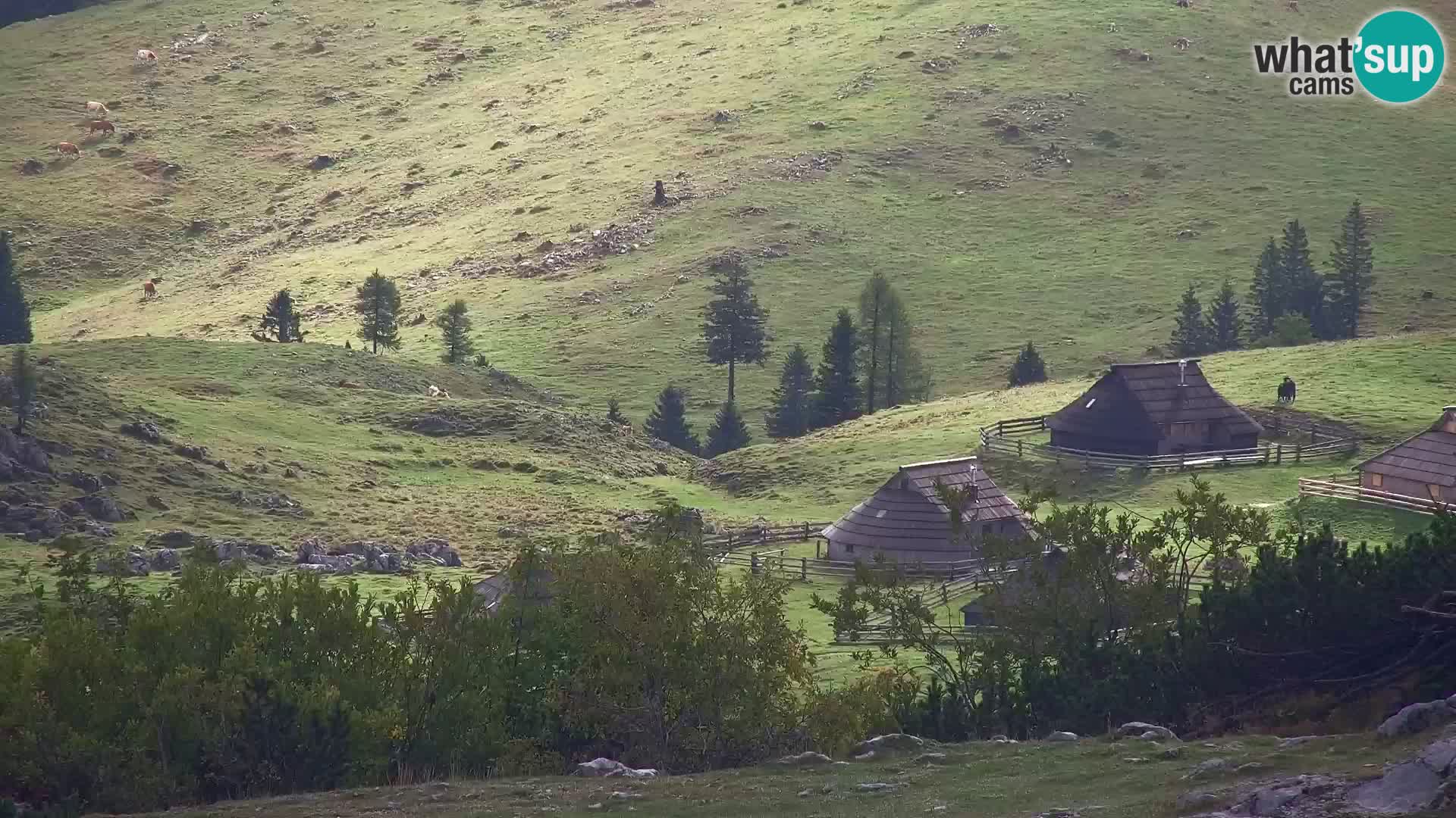 Velika Planina | Gradišče