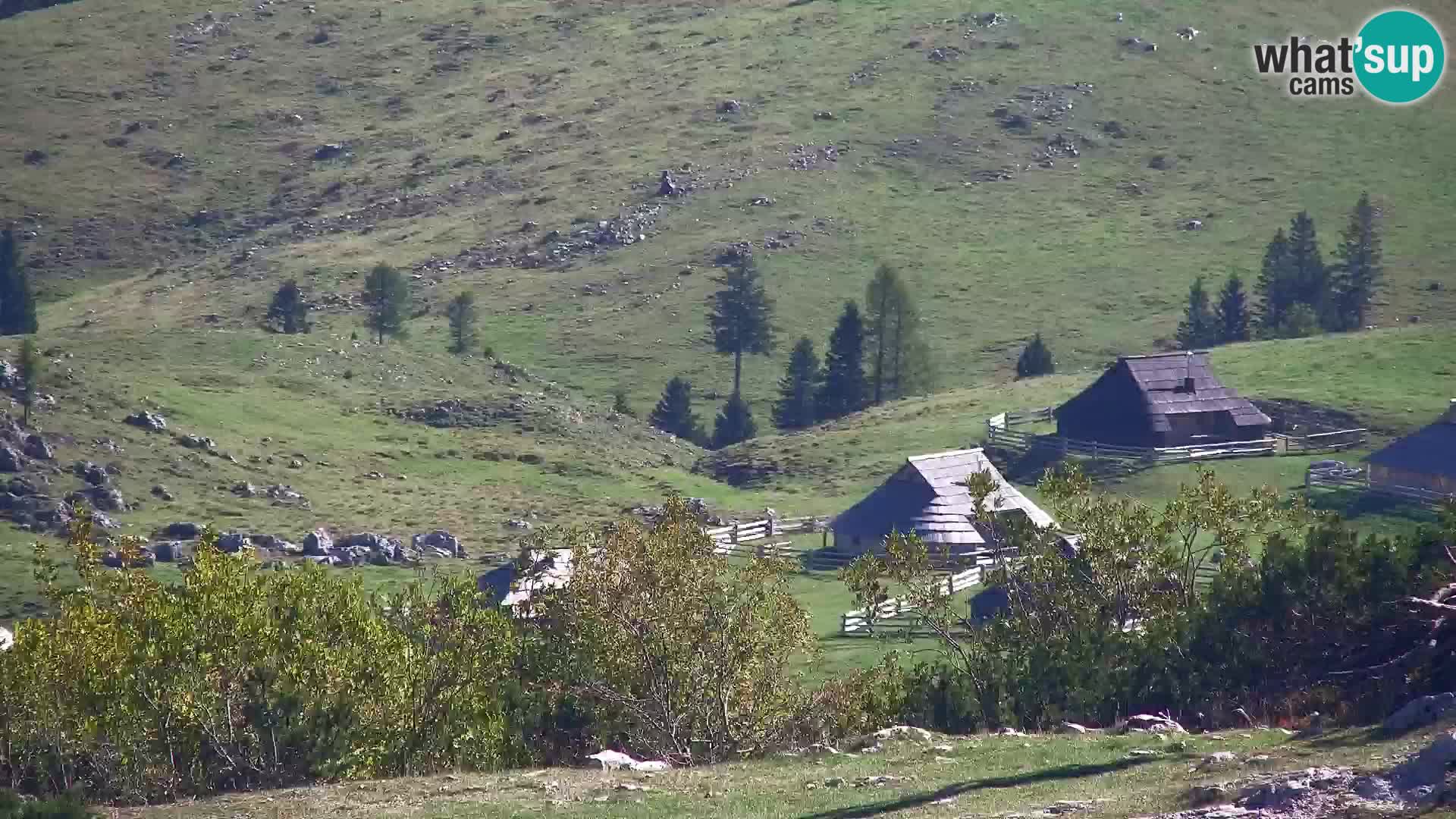 Velika Planina | Gradišče