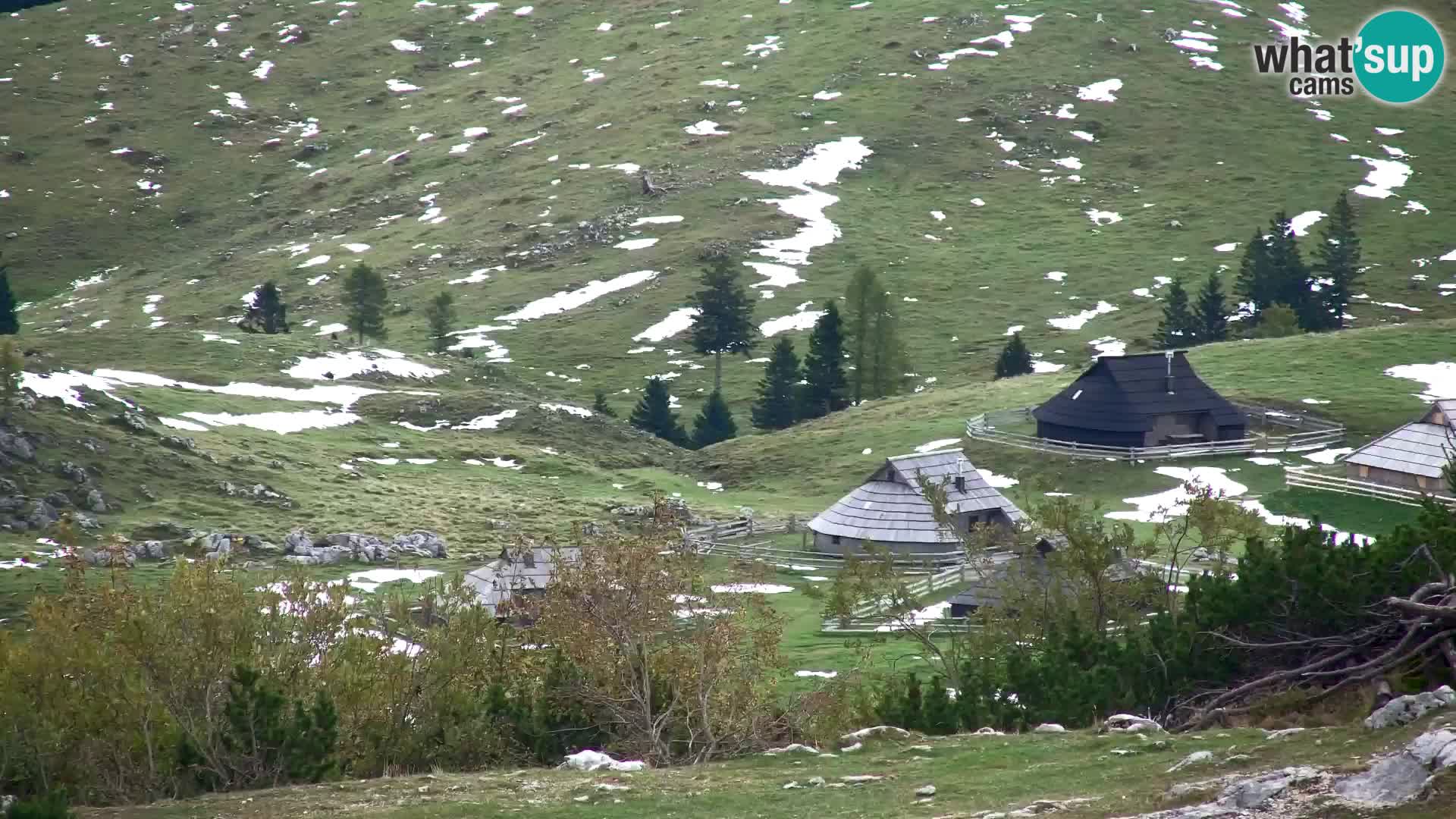 Velika Planina | Gradišče