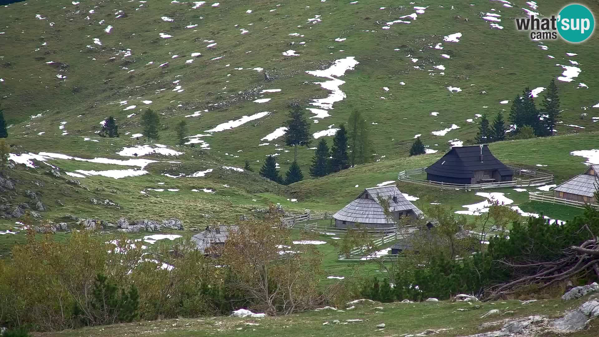 Velika Planina | Gradišče