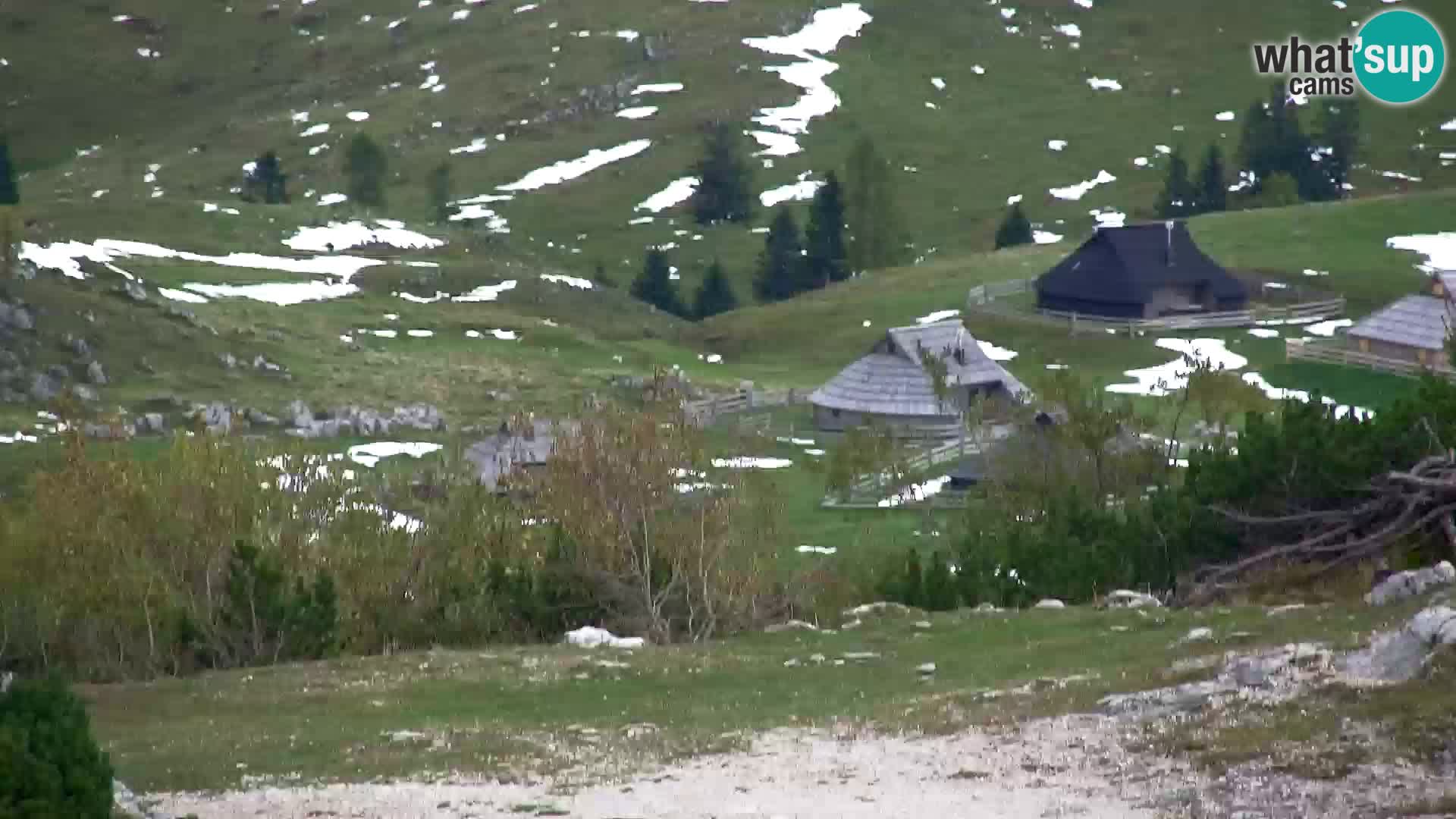 Velika Planina | Gradišče