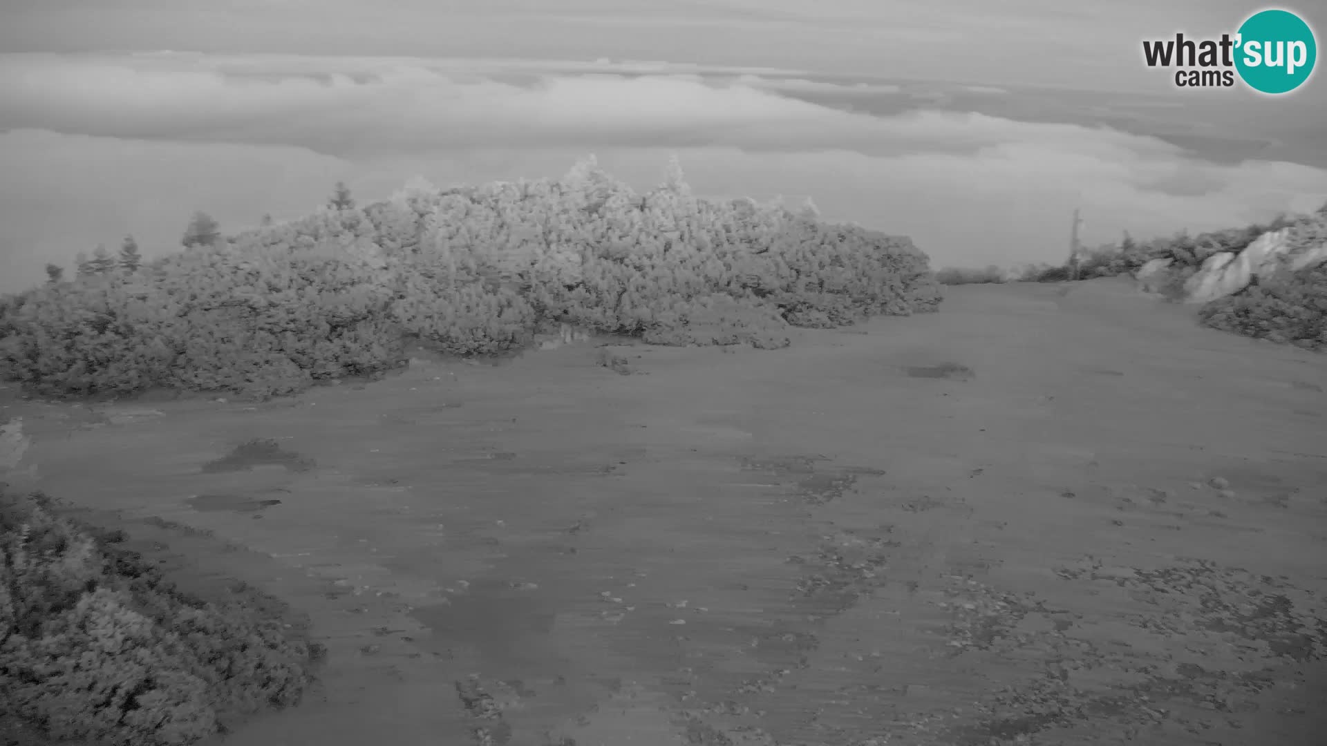 Velika Planina | Gradišče