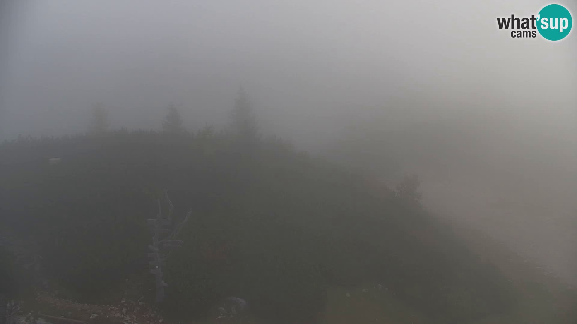 Velika Planina | Gradišče