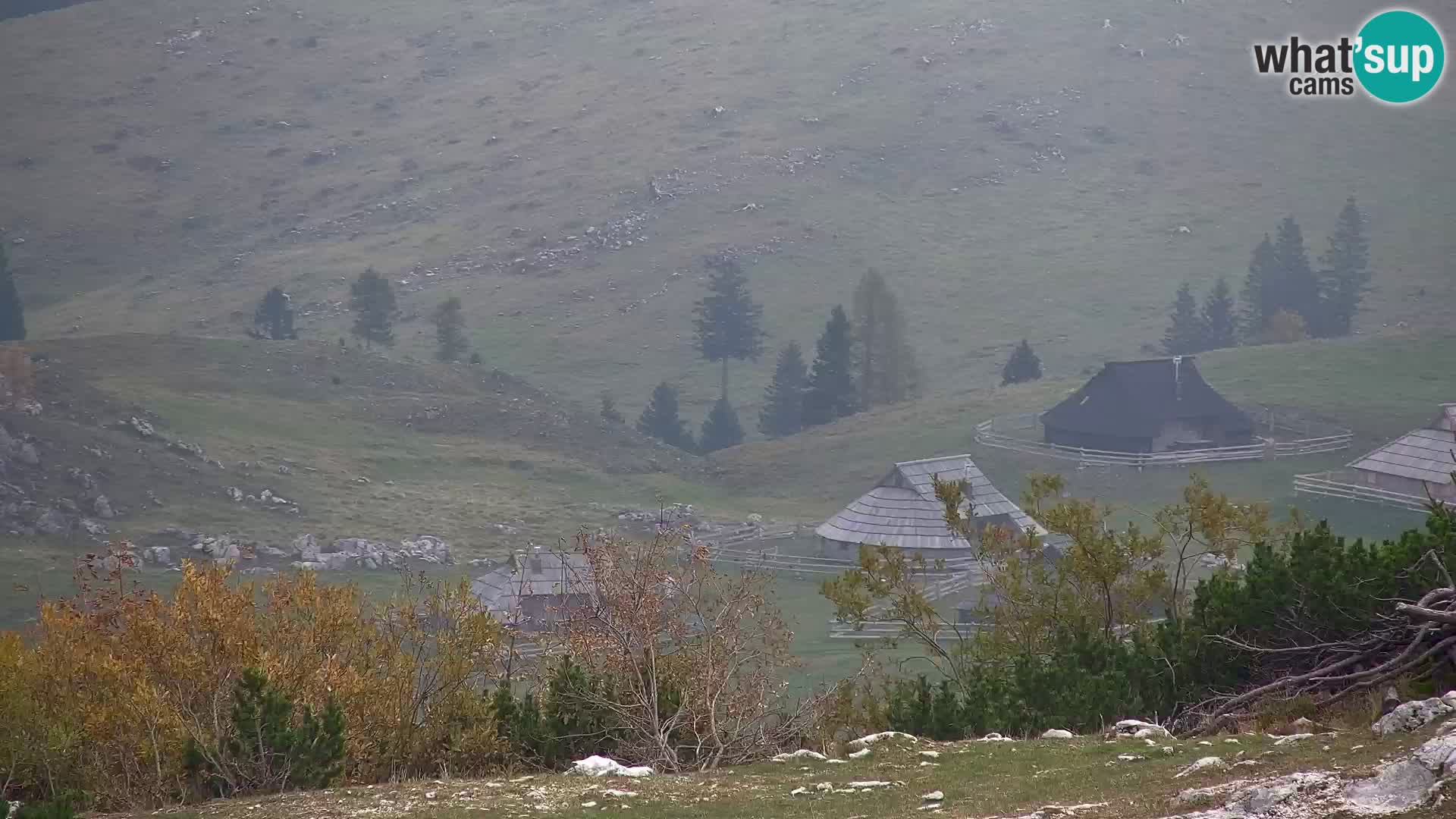 Velika Planina | Gradišče