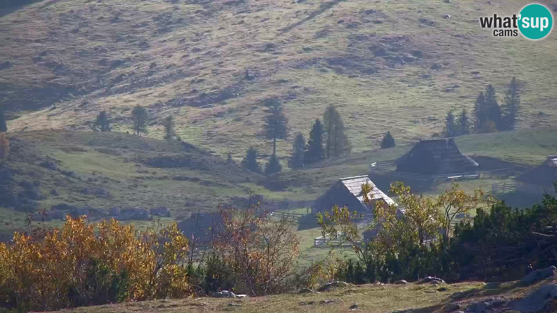 Velika Planina | Gradišče