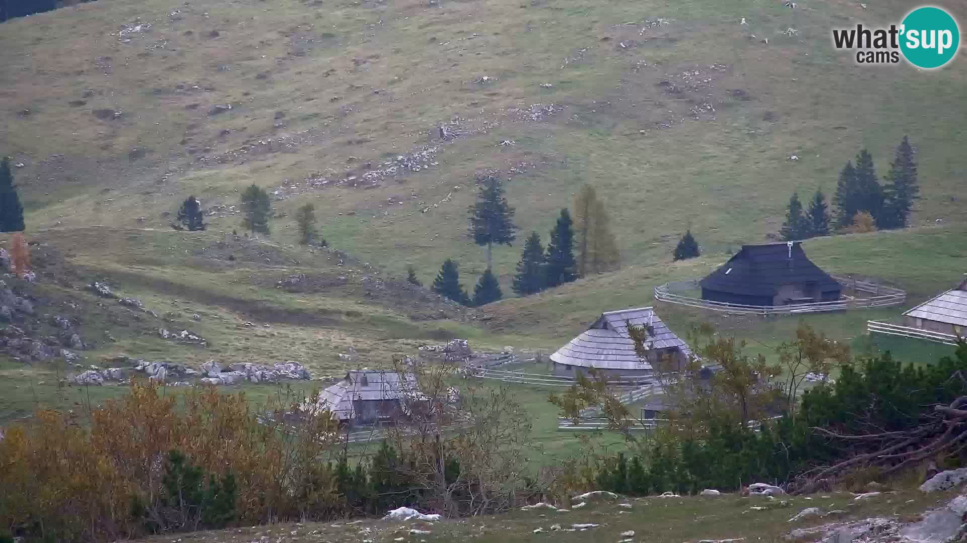 Velika Planina | Gradišče