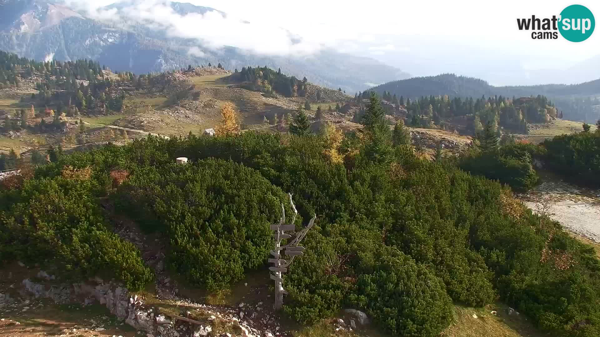 Velika Planina | Gradišče