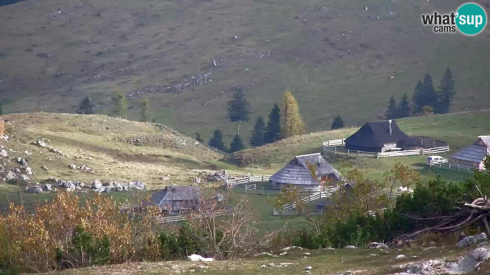 Velika Planina | Gradišče