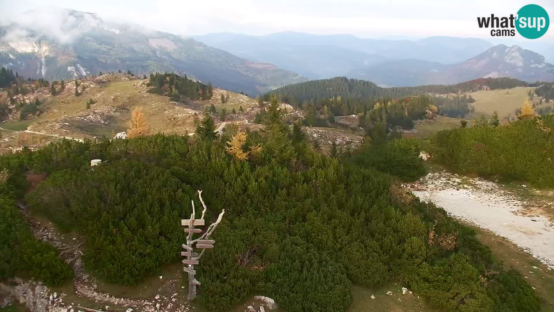 Velika Planina | Gradišče