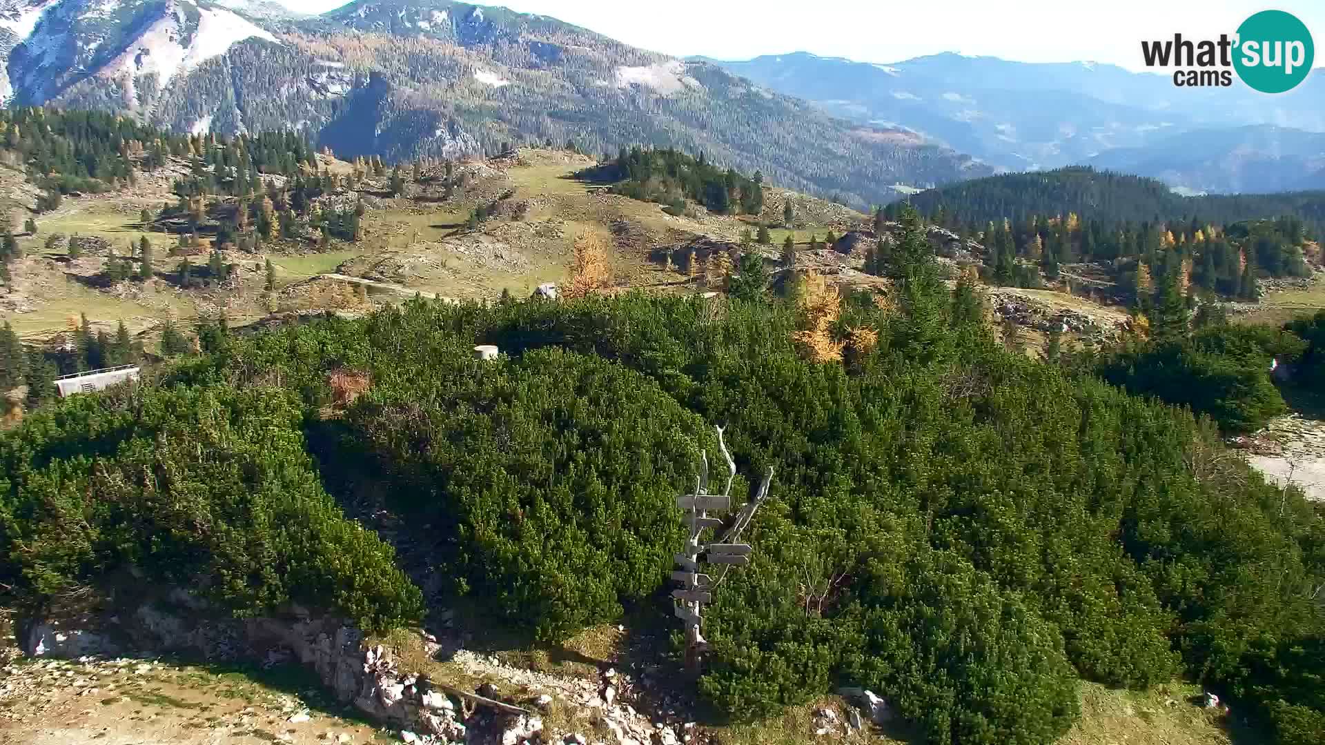 Velika Planina | Gradišče