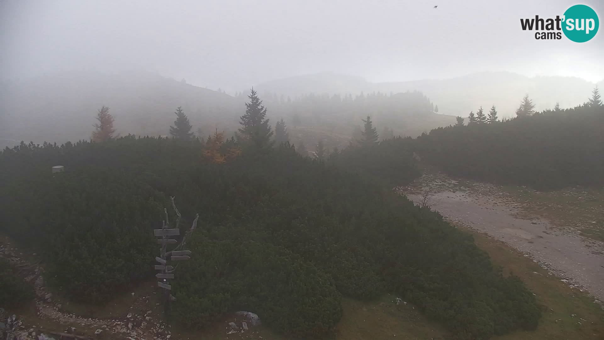 Velika Planina | Gradišče
