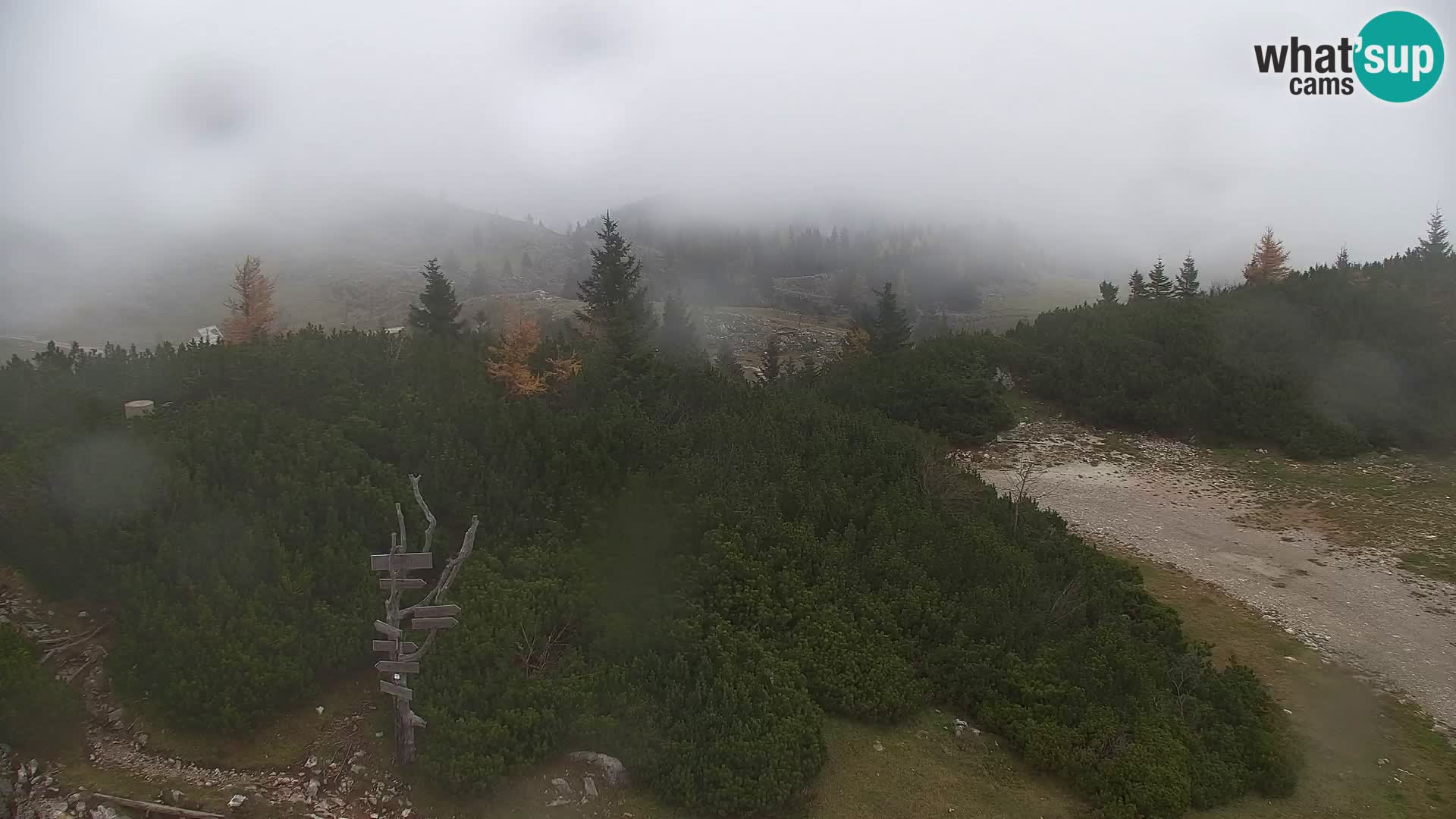 Velika Planina | Gradišče