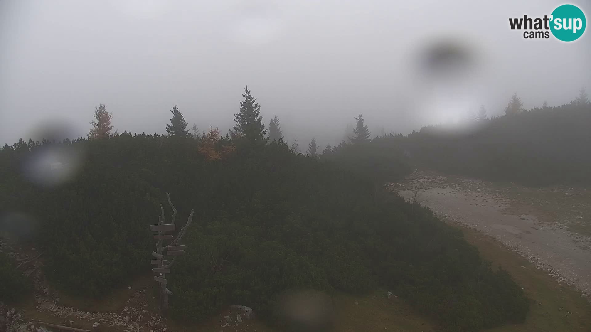 Velika Planina | Gradišče