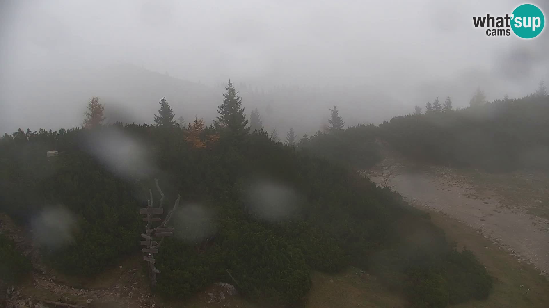 Velika Planina | Gradišče