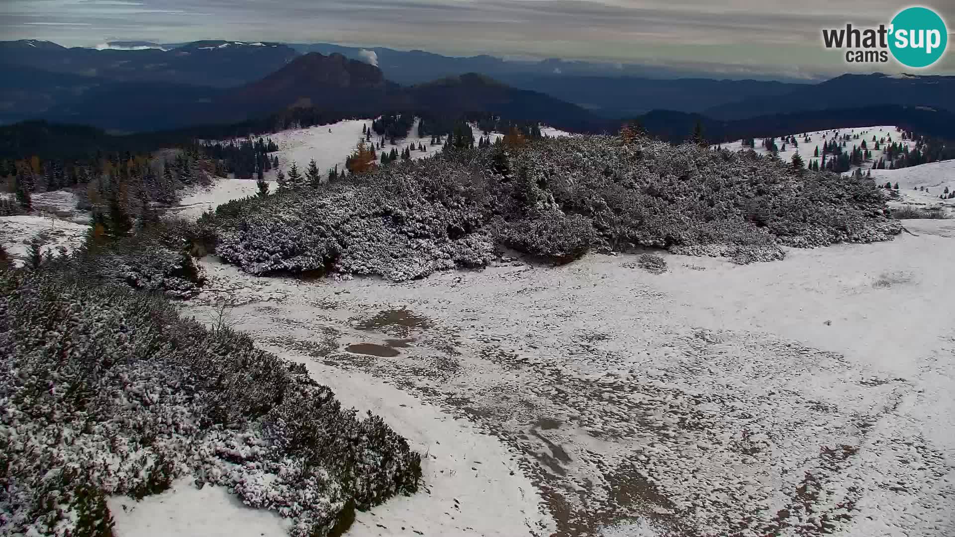 Velika Planina | Gradišče