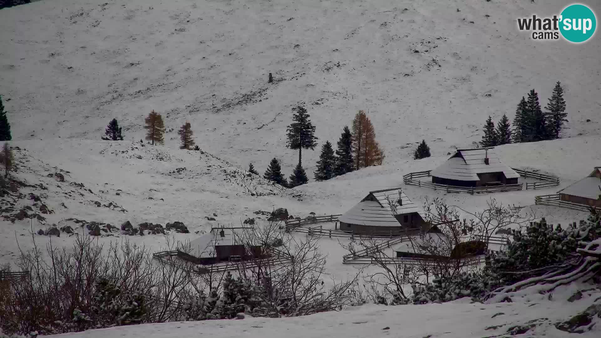 Velika Planina | Gradišče