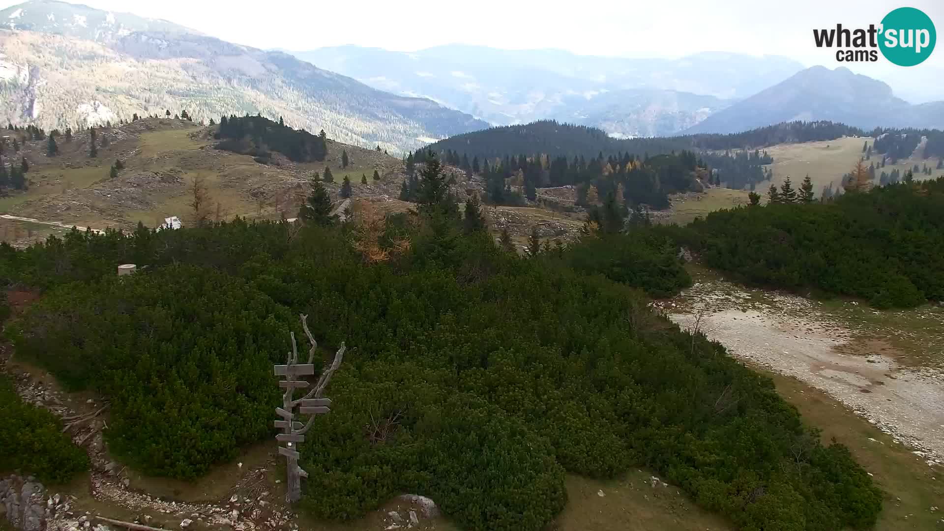 Velika Planina | Gradišče