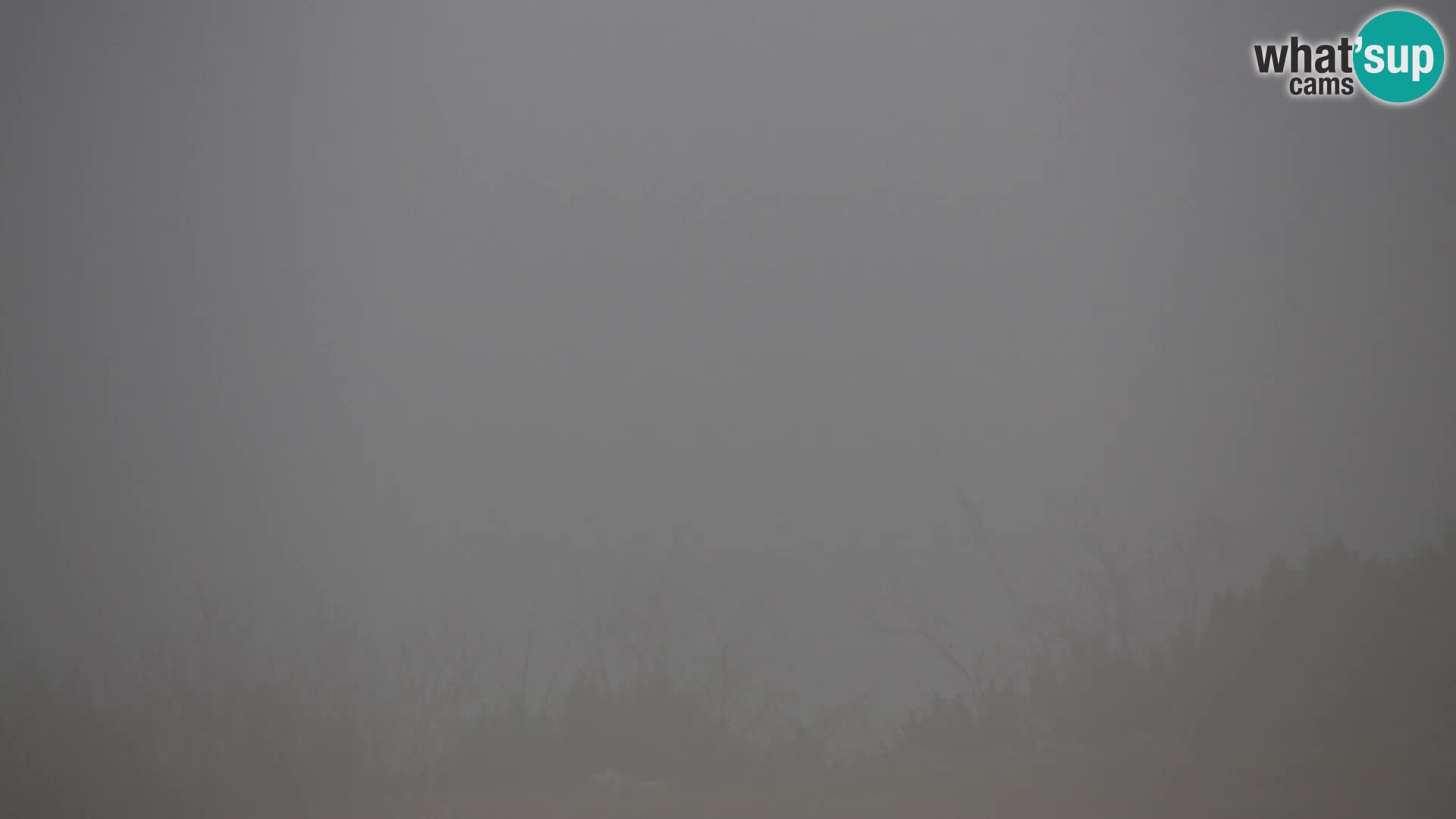 Velika Planina | Gradišče