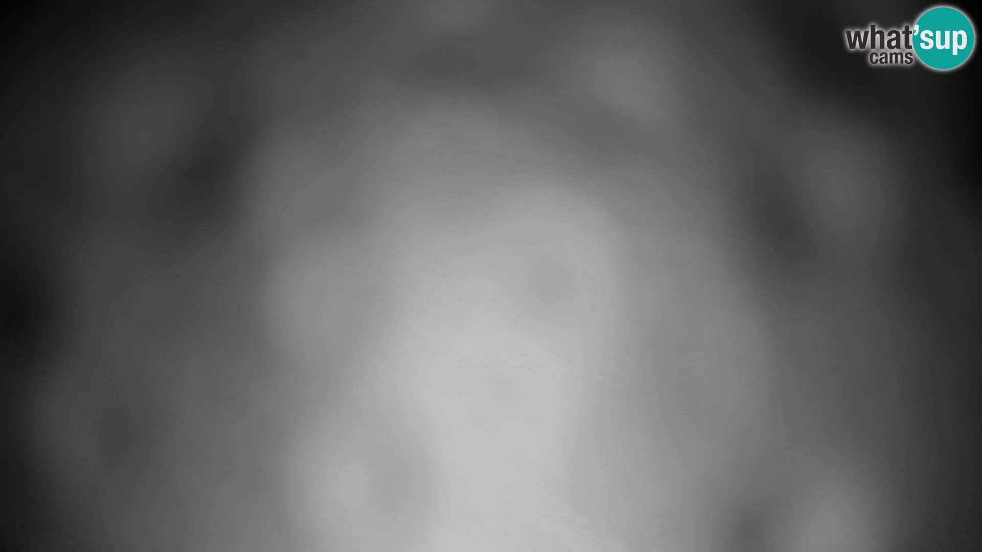 Velika Planina | Gradišče