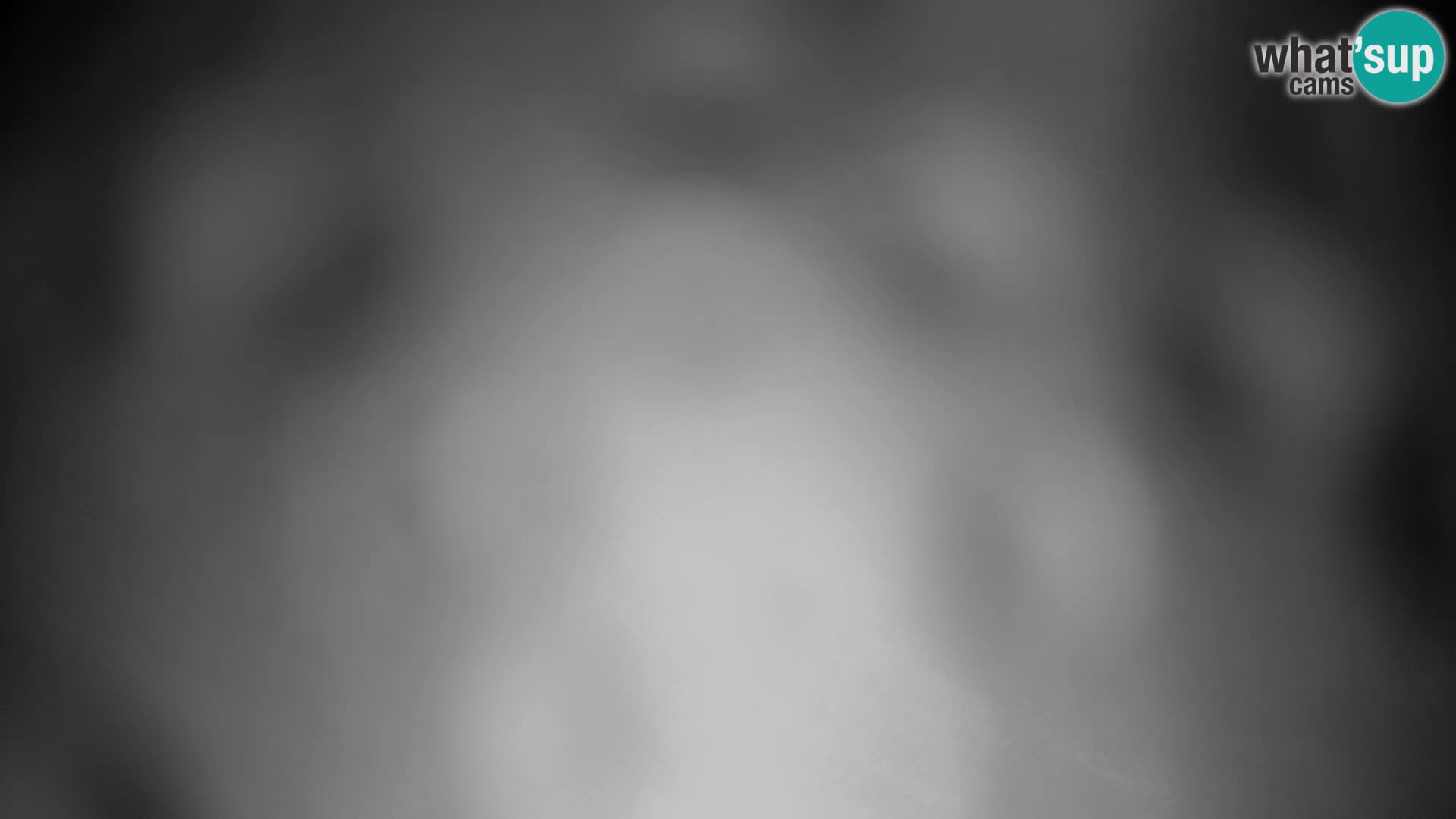 Velika Planina | Gradišče