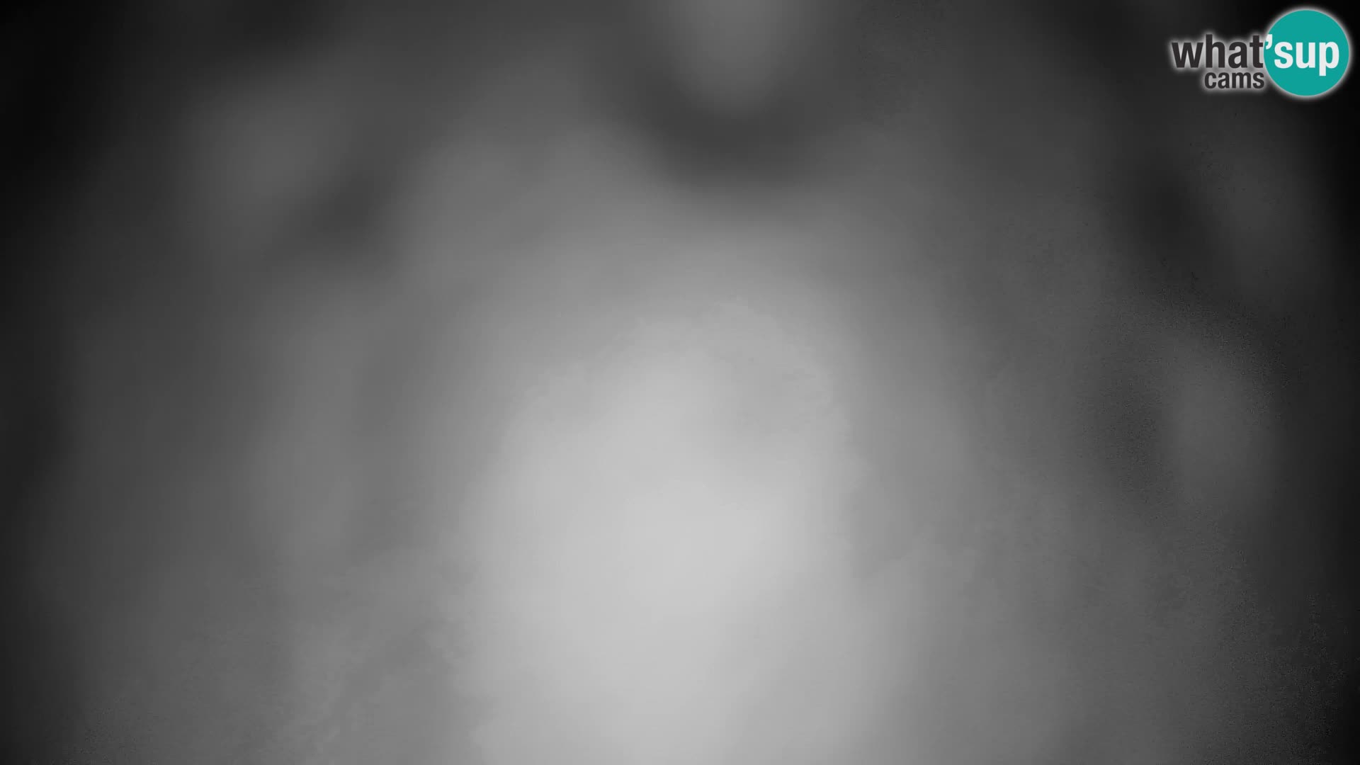 Velika Planina | Gradišče