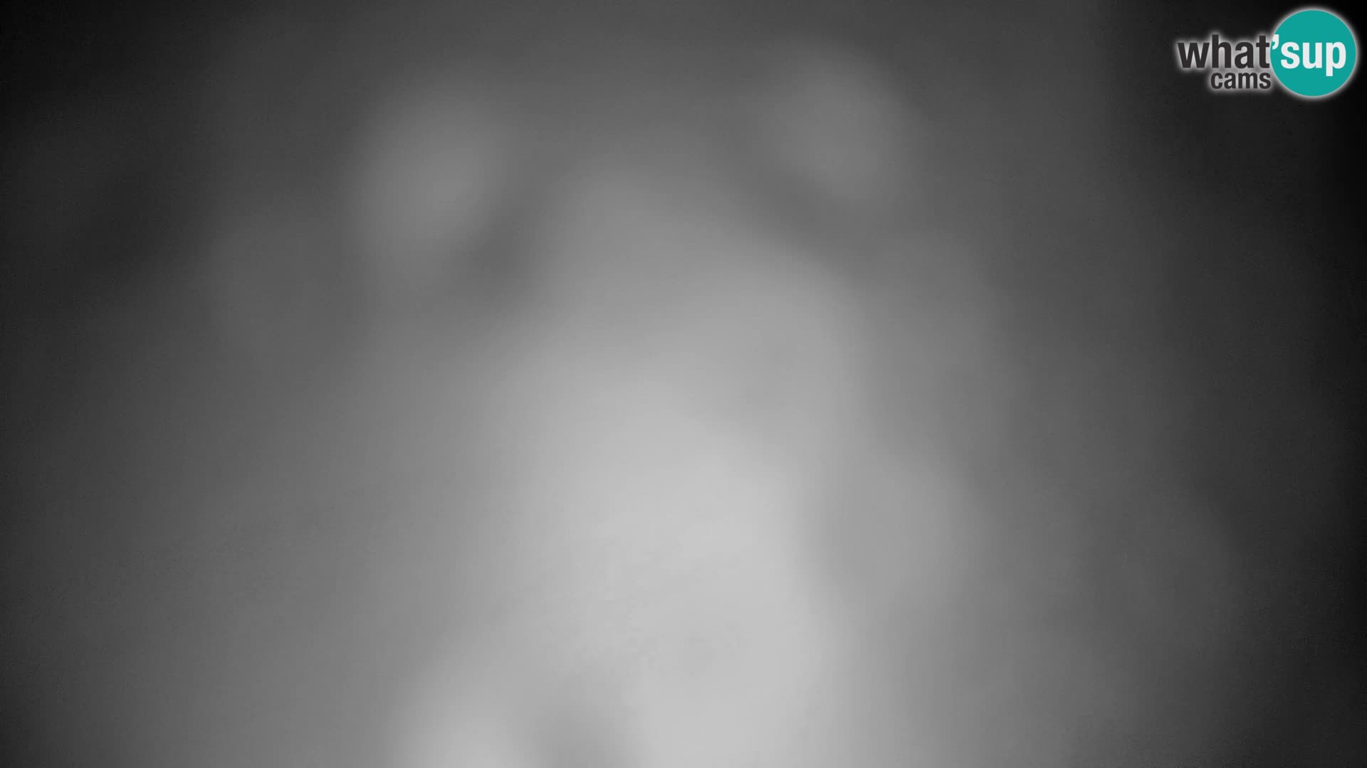 Velika Planina | Gradišče