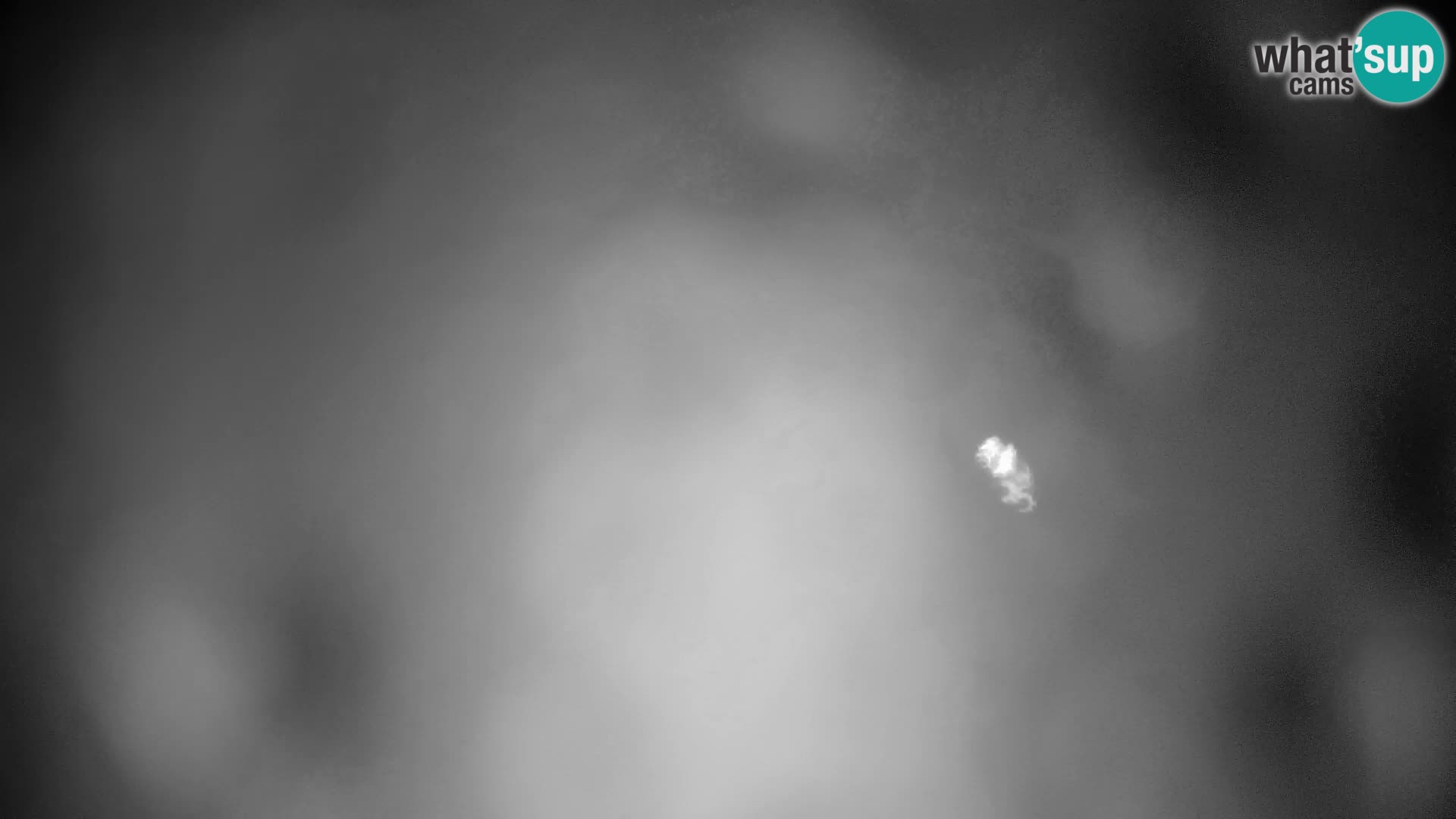 Velika Planina | Gradišče