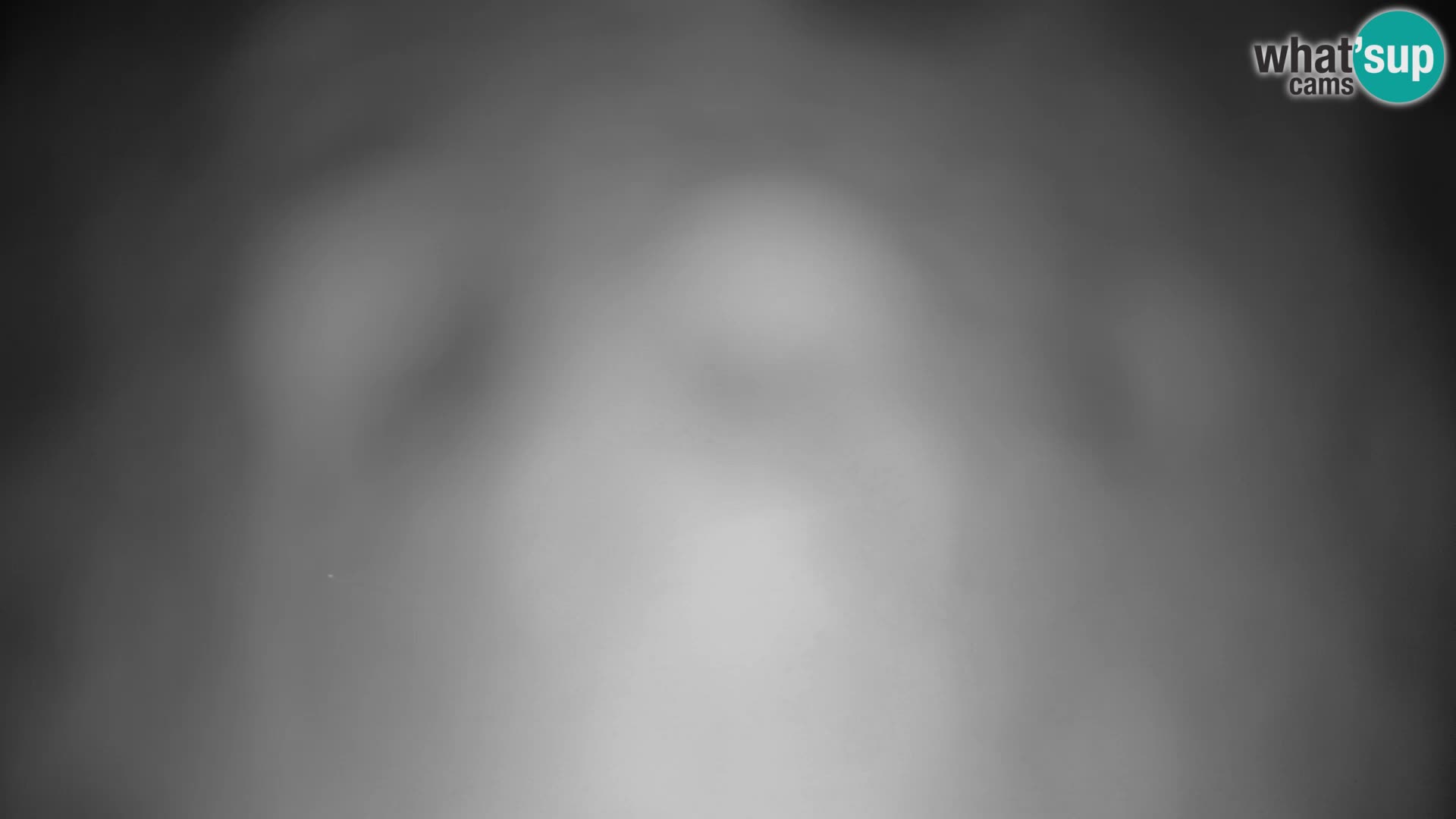 Velika Planina | Gradišče