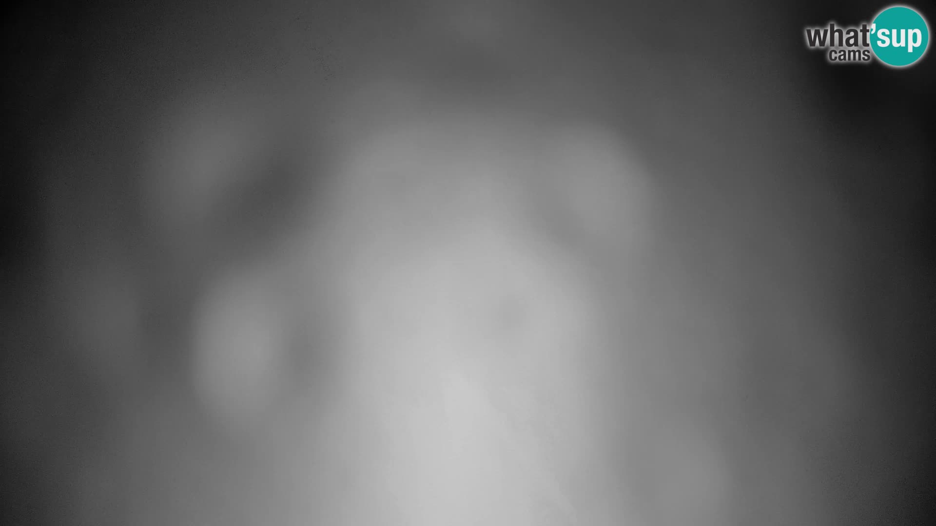 Velika Planina | Gradišče