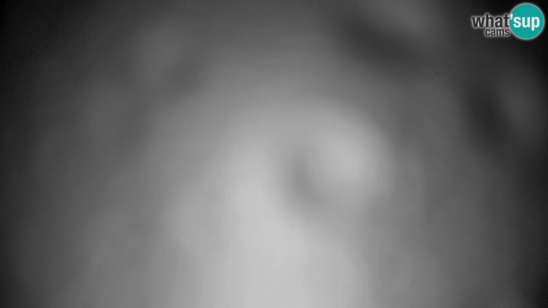 Velika Planina | Gradišče