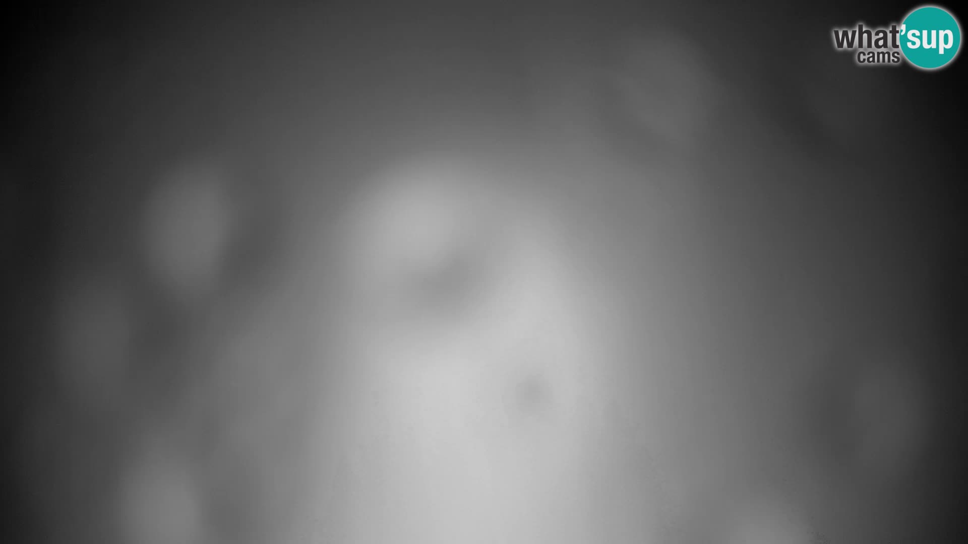 Velika Planina | Gradišče