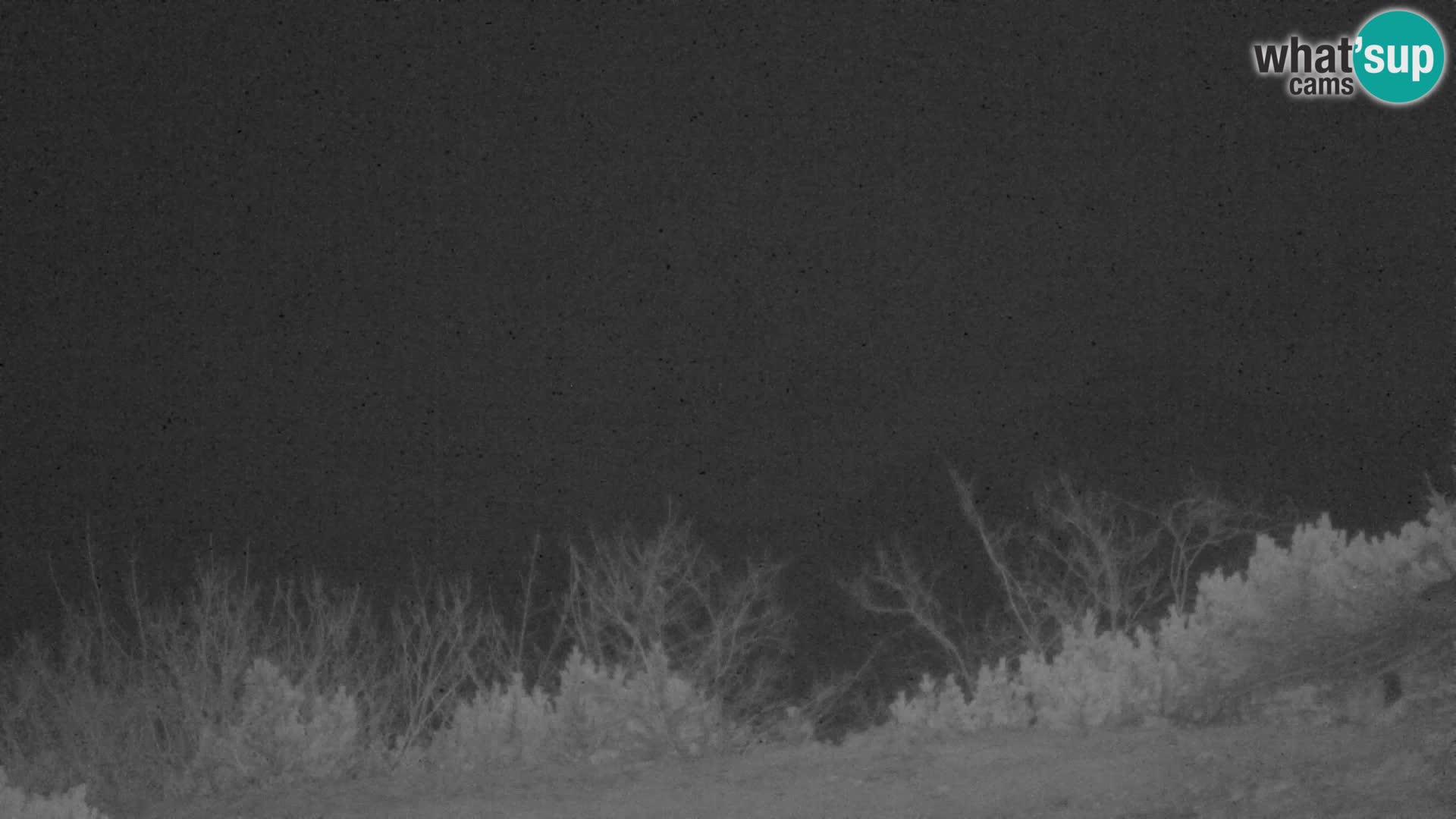 Velika Planina | Gradišče