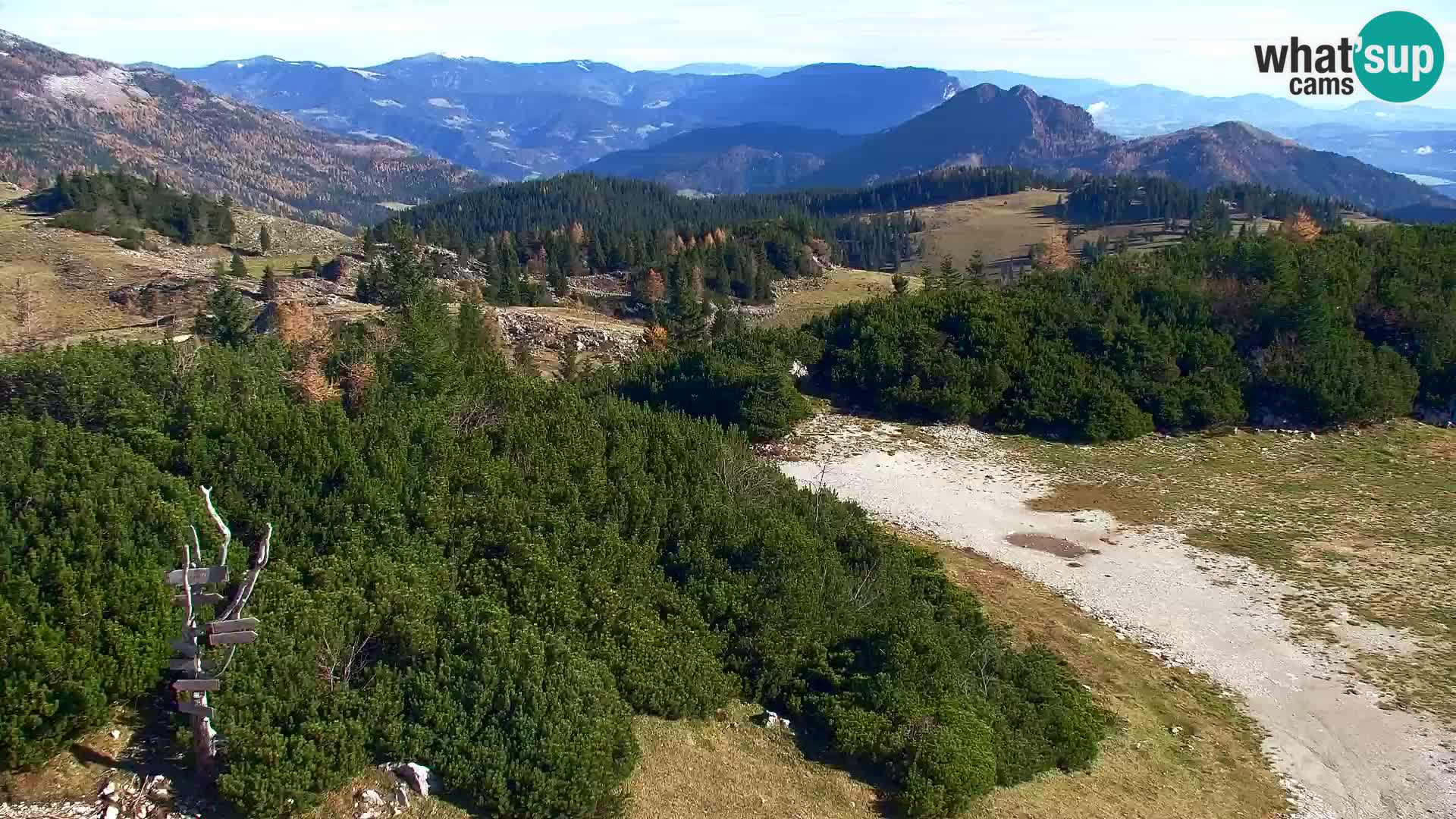 Velika Planina | Gradišče