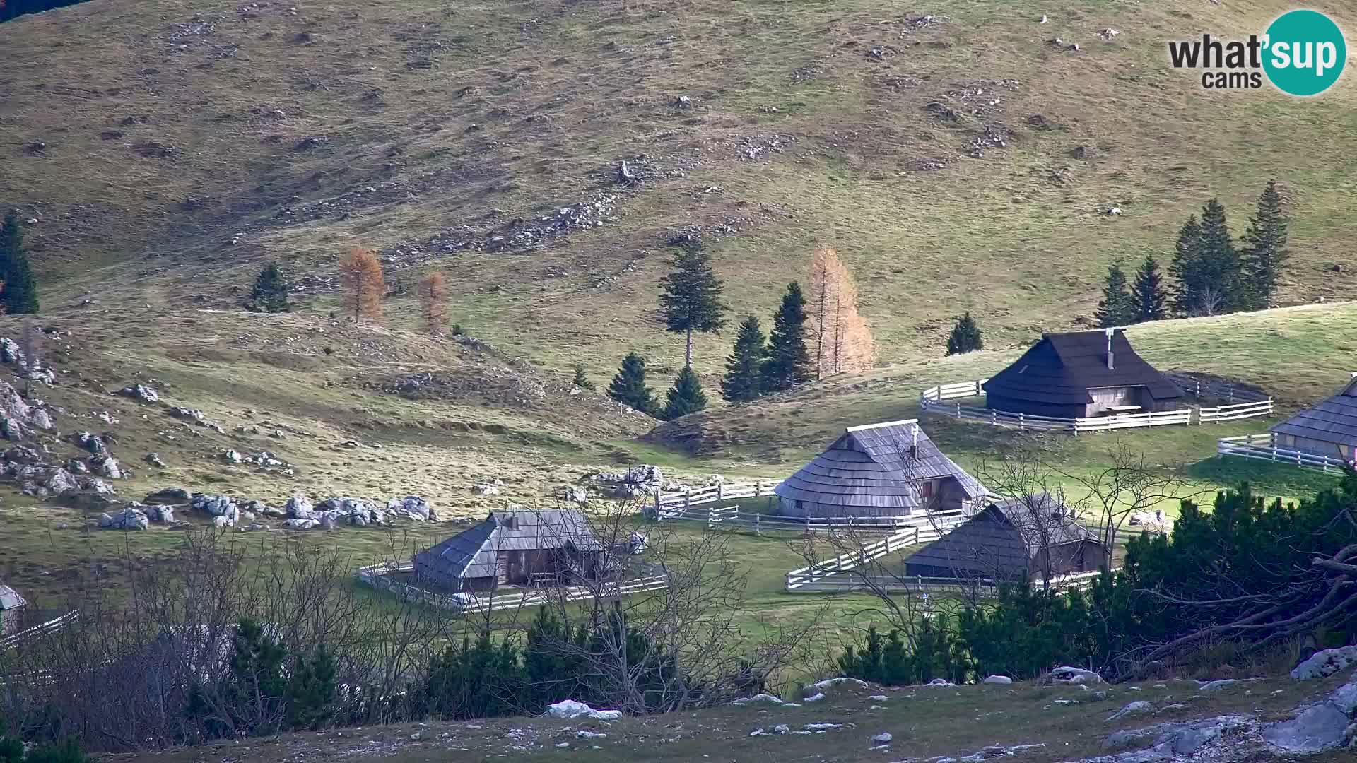 Velika Planina | Gradišče