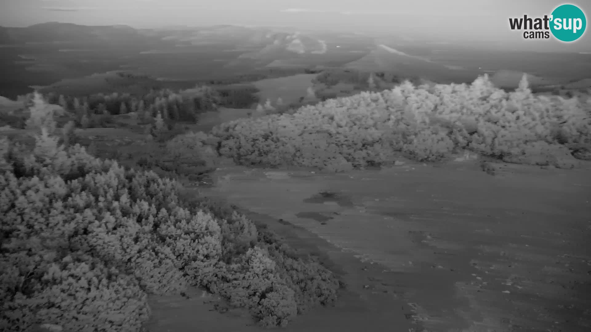 Velika Planina | Gradišče