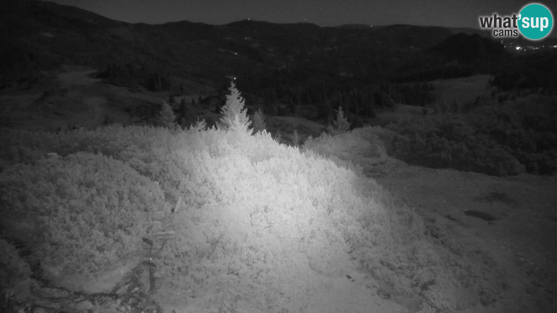 Velika Planina | Gradišče