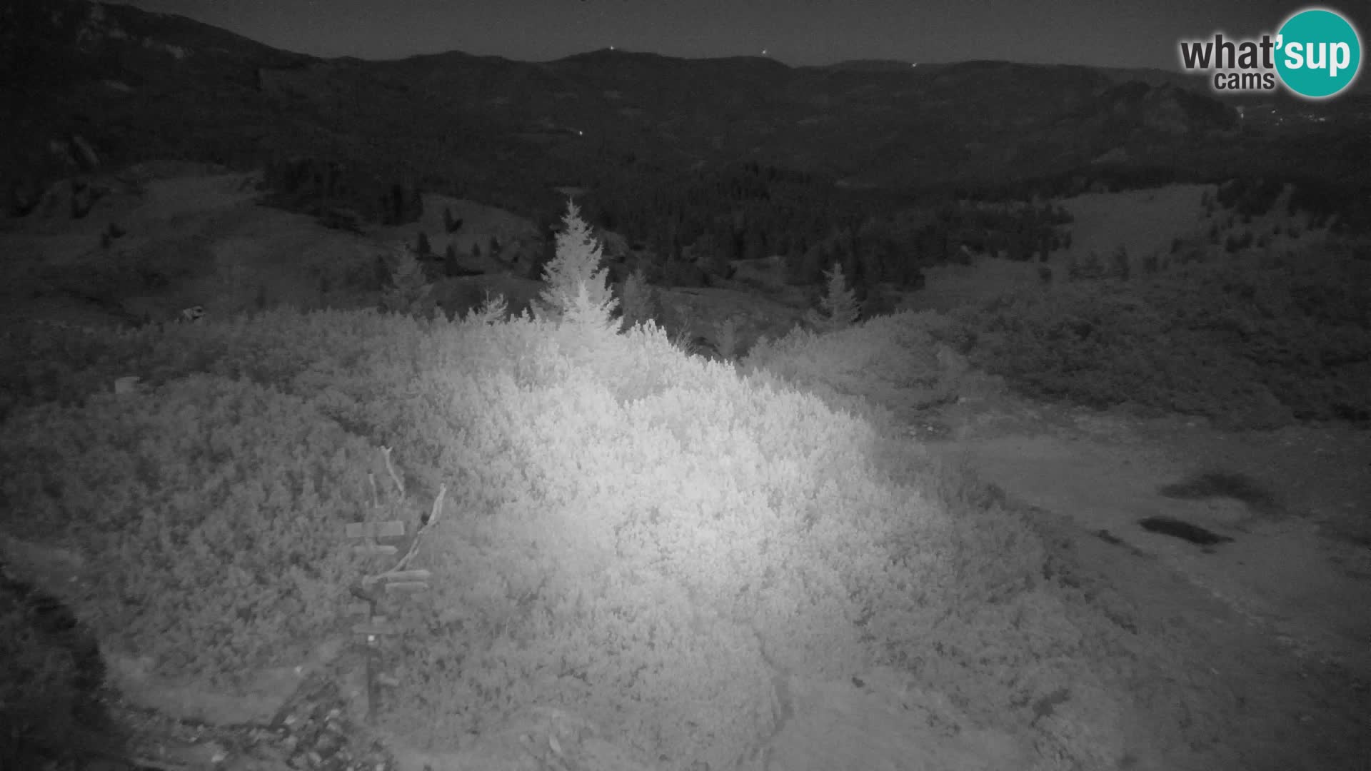 Velika Planina | Gradišče